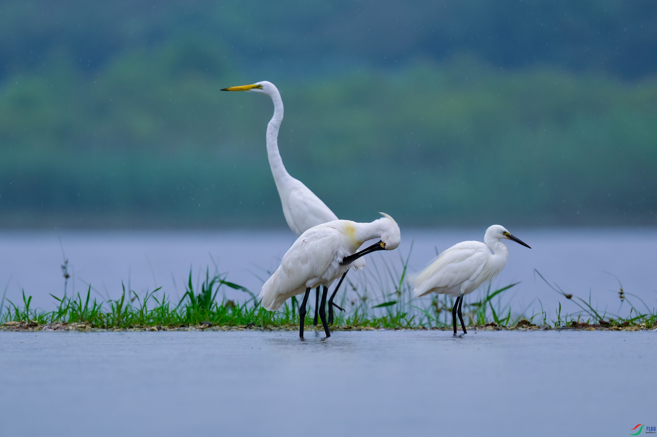 _DSC5349x.jpg