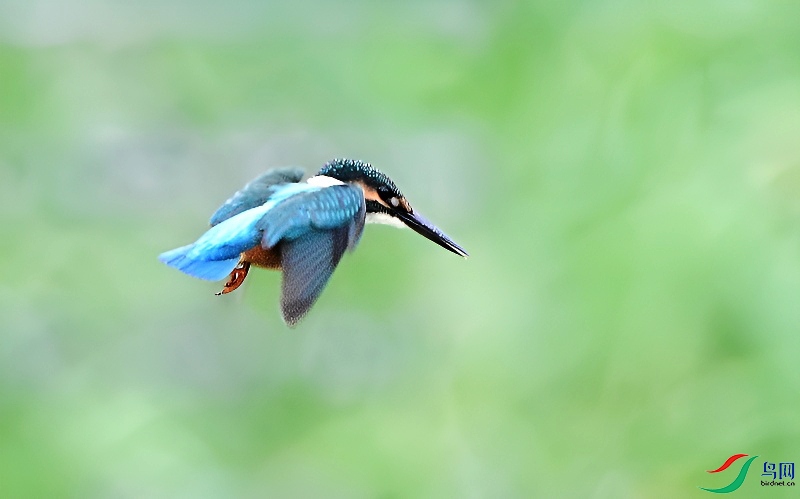 DSC_8558.JPG