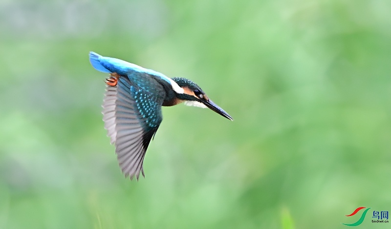 DSC_8559.JPG