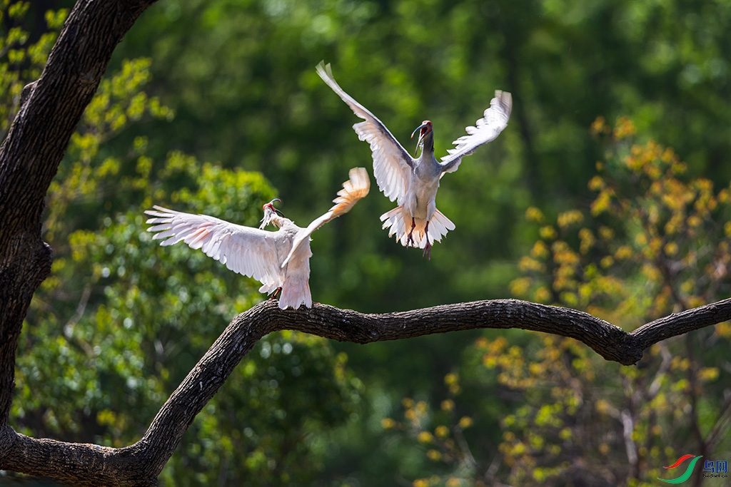 hnxydzR3250413 (7145).jpg