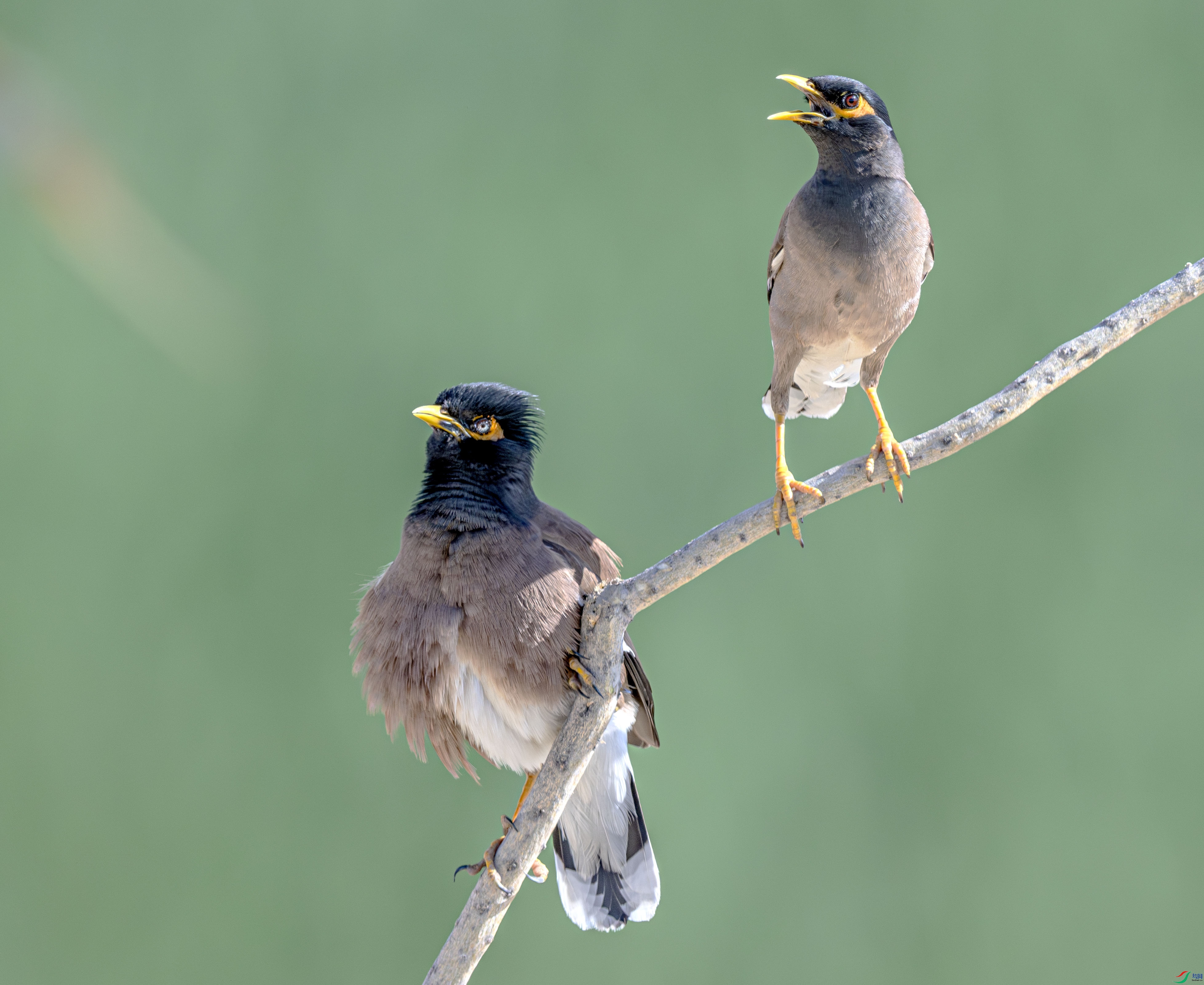 DSC_7287-����ǿ-NR ����.jpg