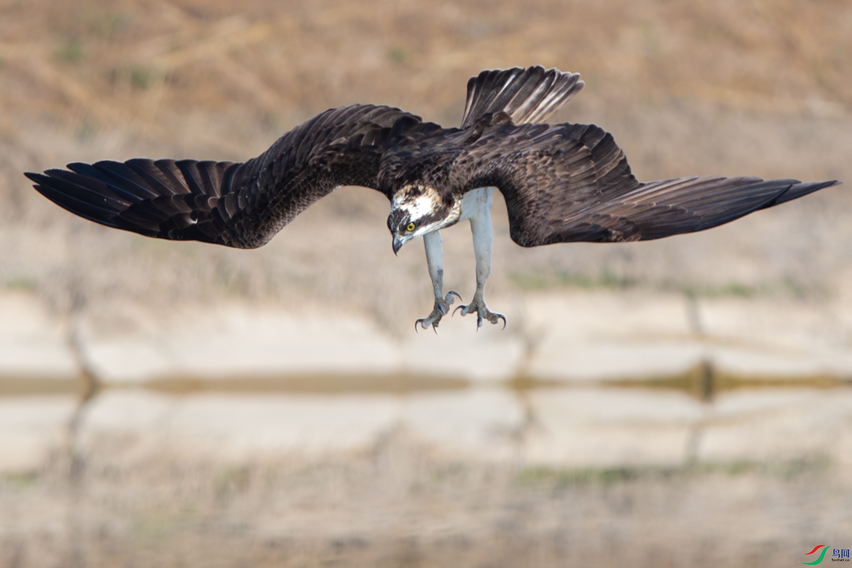 AY8I0063����-����ǿ-NR-1 ����.jpg