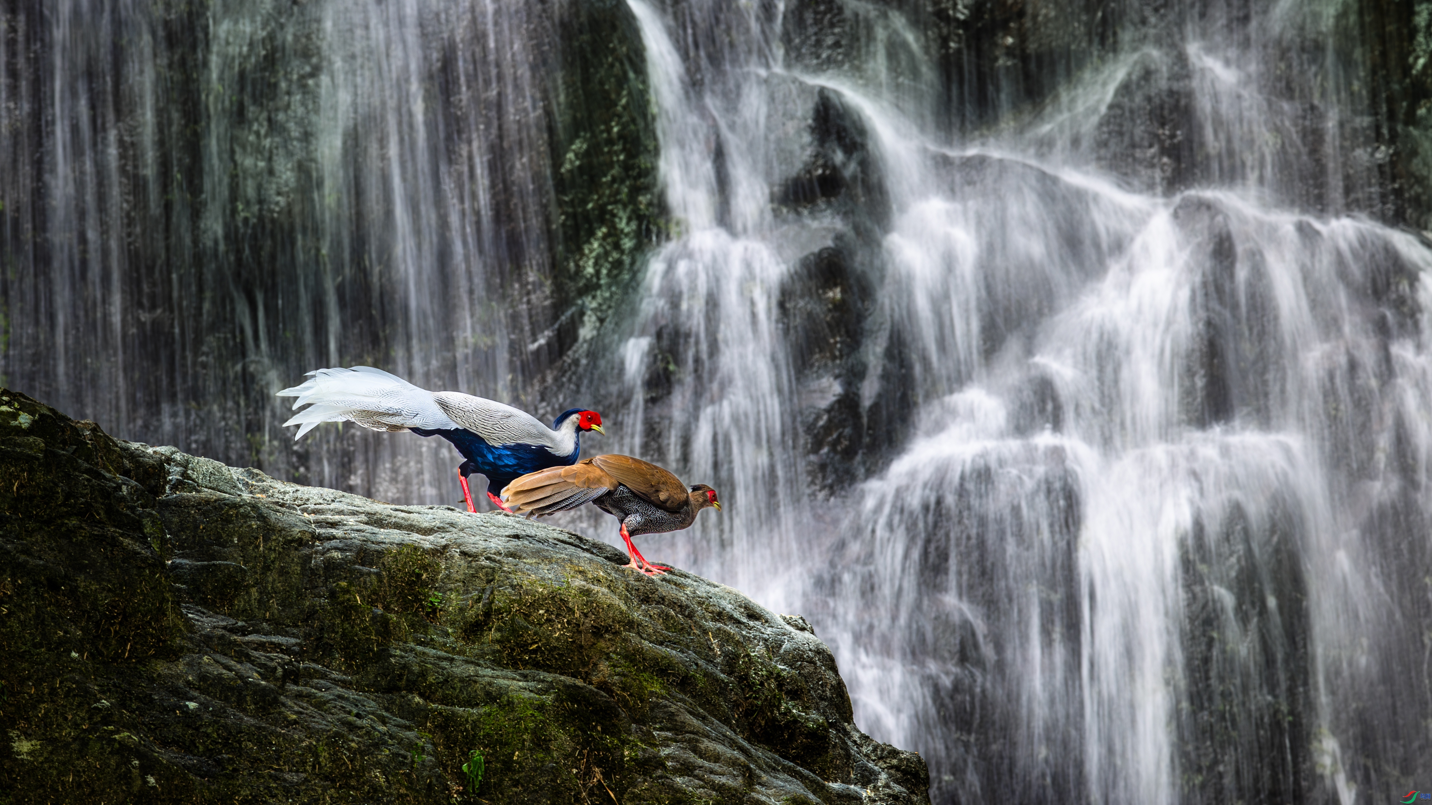 7.1С������ʦ��Ʒ   ���� ��ף���ٻ����������.jpg