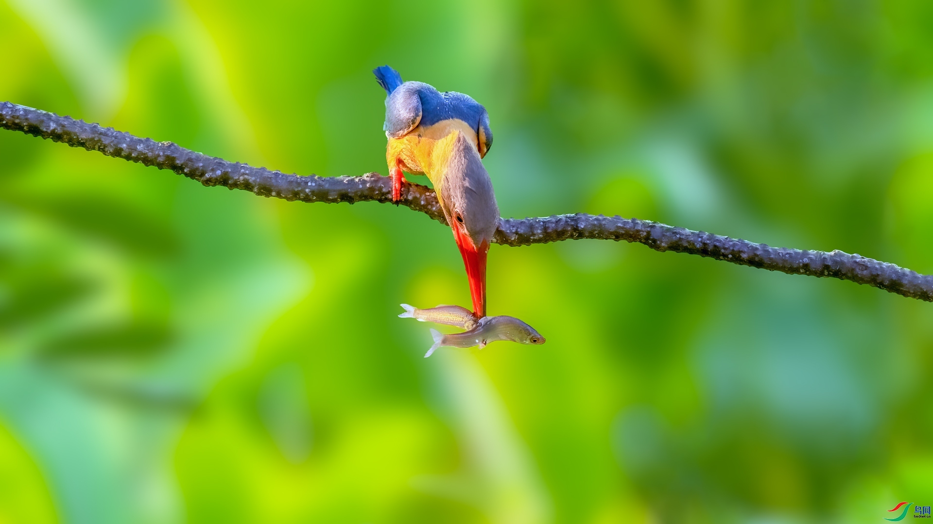 7.2������ʦ��Ʒ   ��������� ��ף���ٻ���Ӱʦ������.jpg