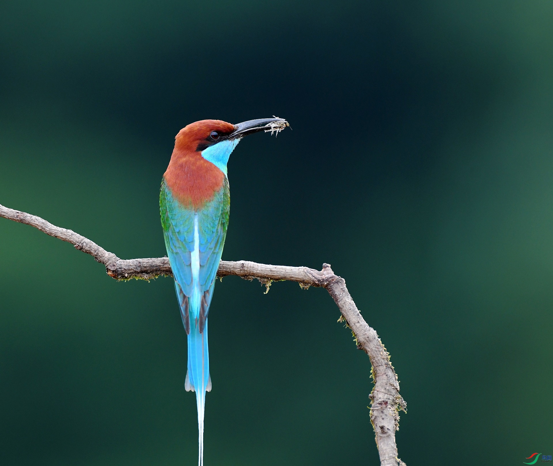 DSC_0063.jpg