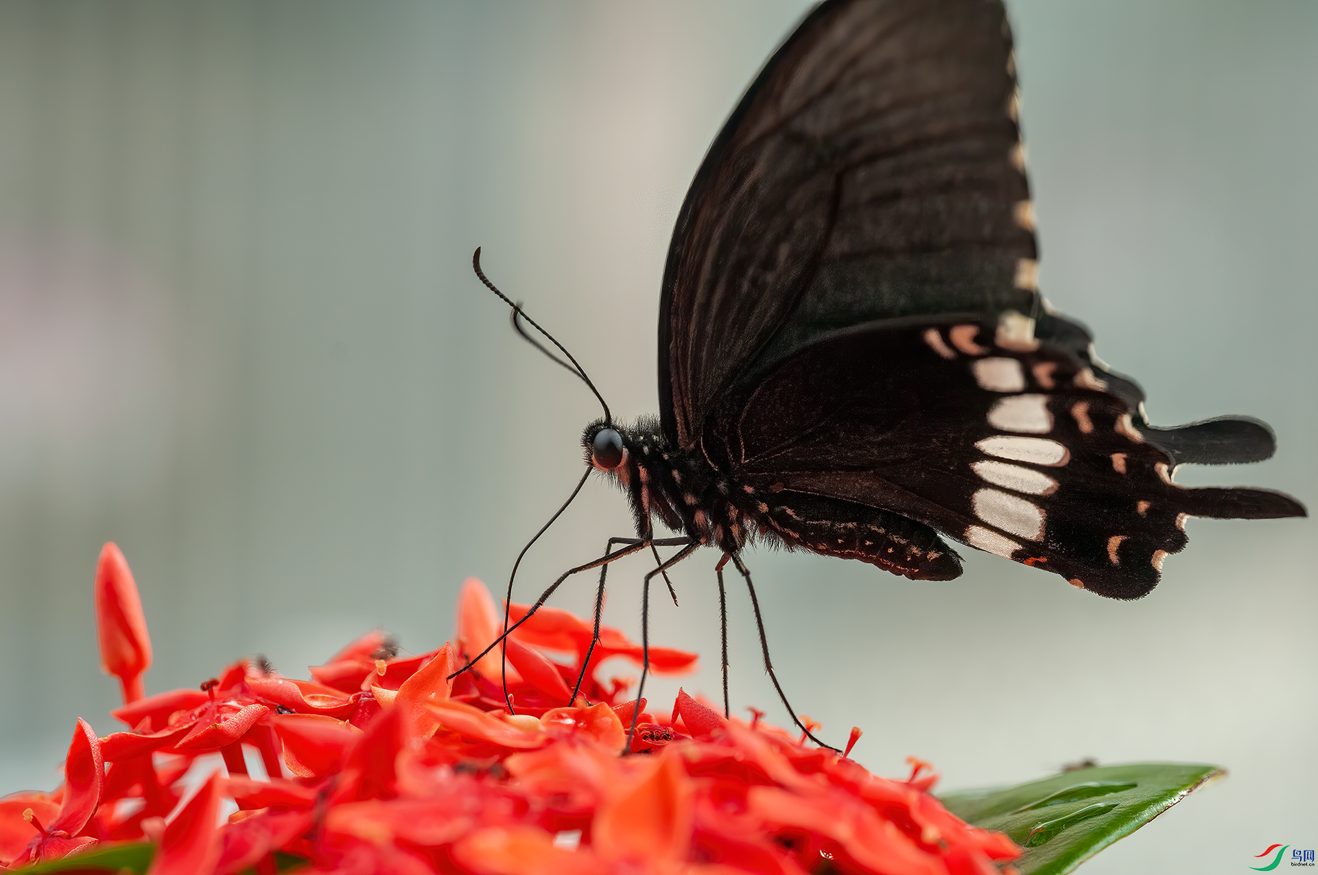 DSC_2855    0001.png