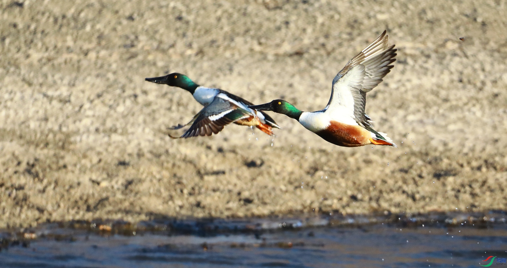 9G8A9690 ����.jpg