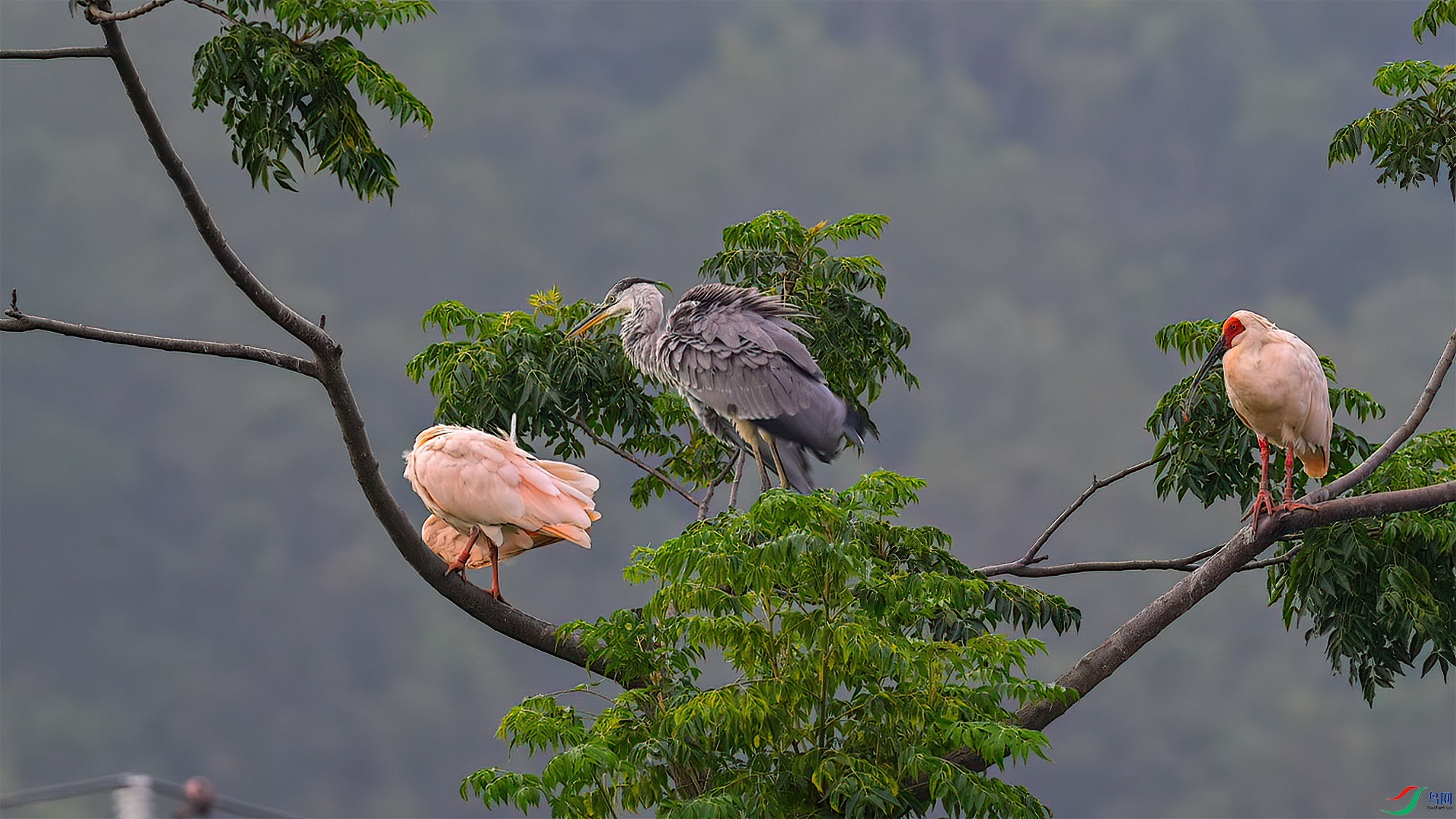 7��11�� (1)(2).jpg