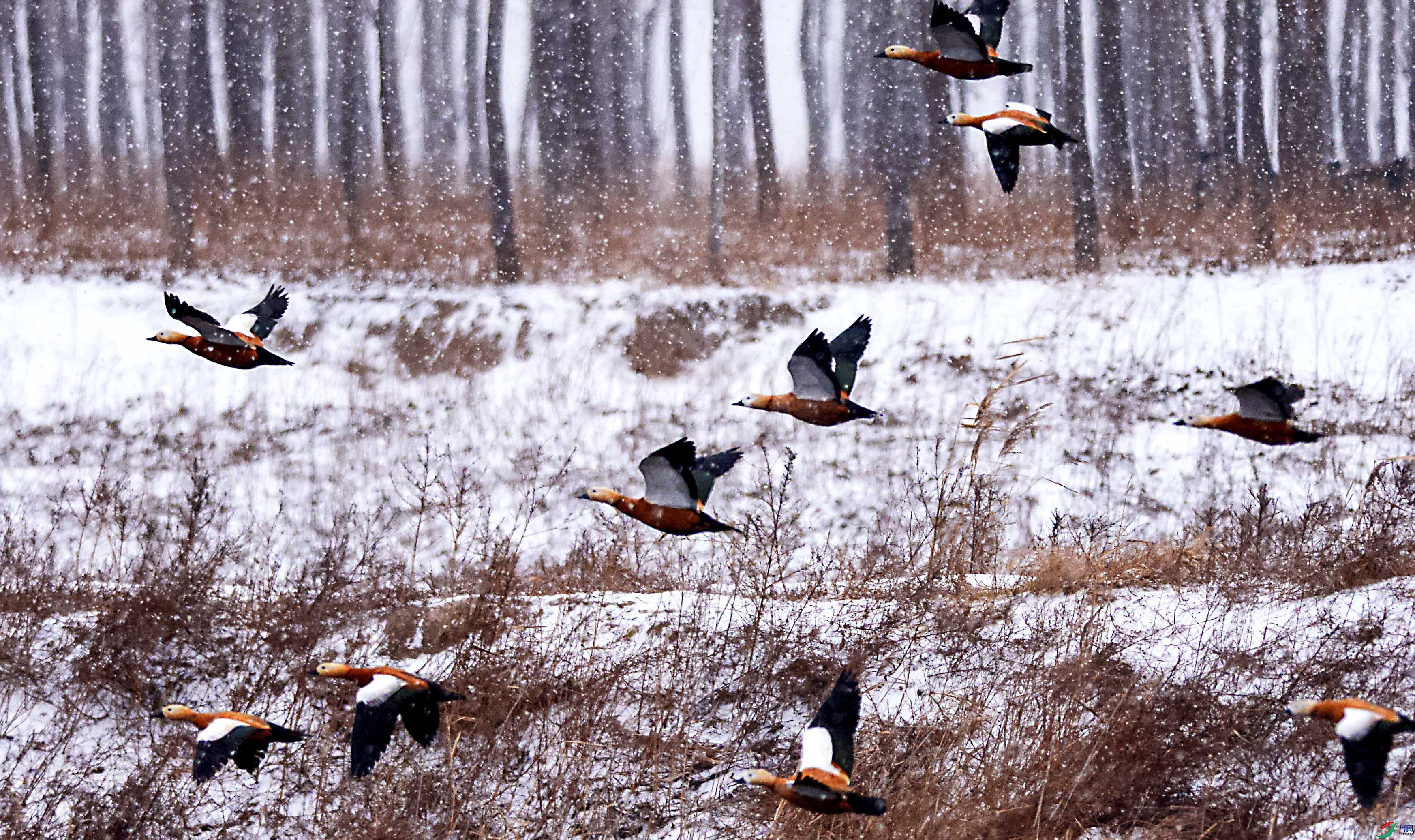 DSC_0213.jpg