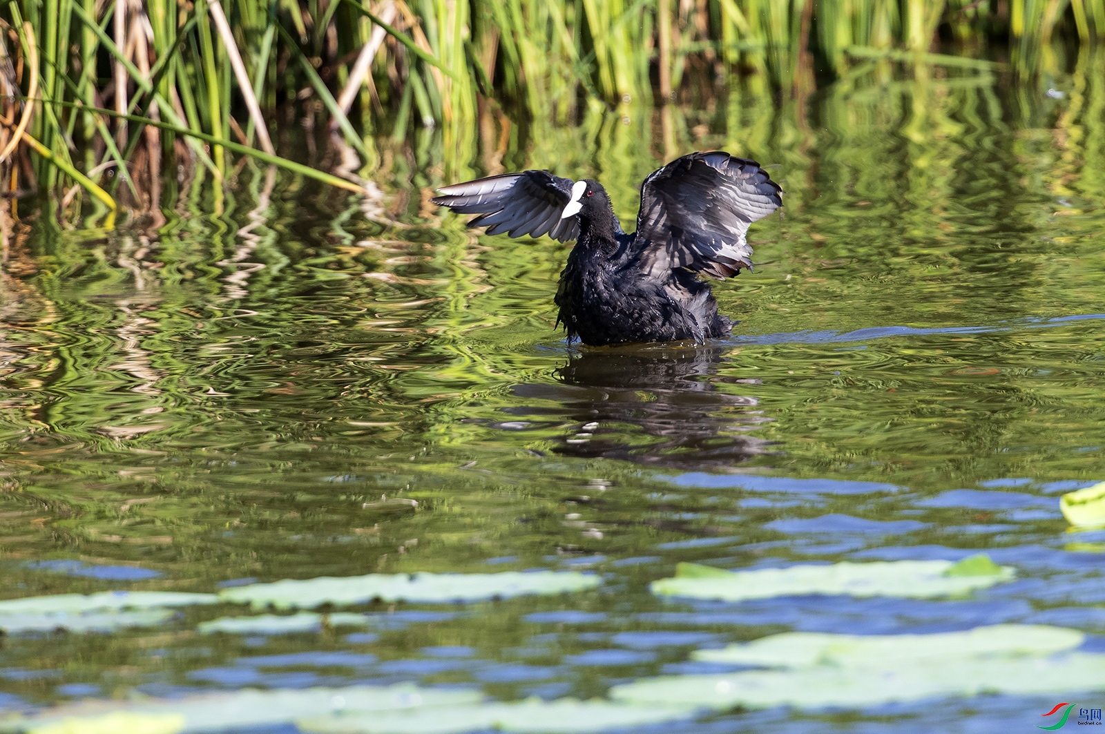 �Ƕ���11 ����.jpg