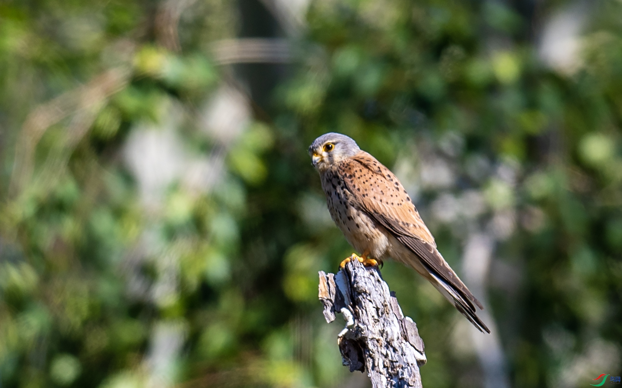 DSC_2149.jpg