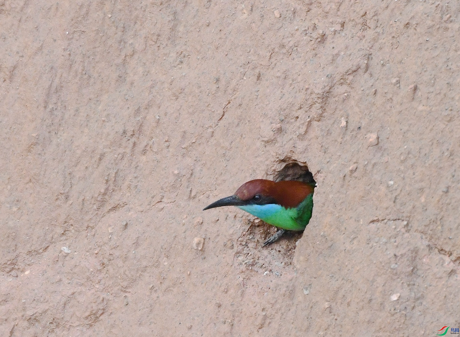 DSC_1463.jpg