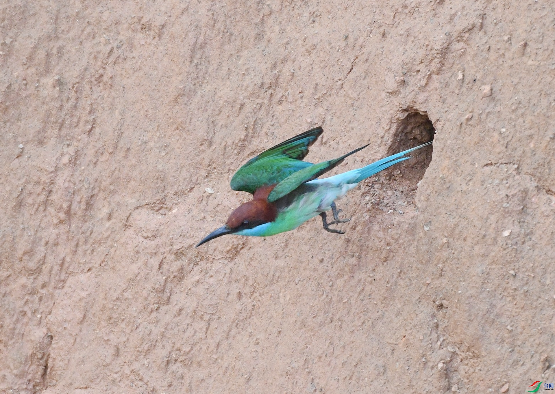 DSC_1464.jpg