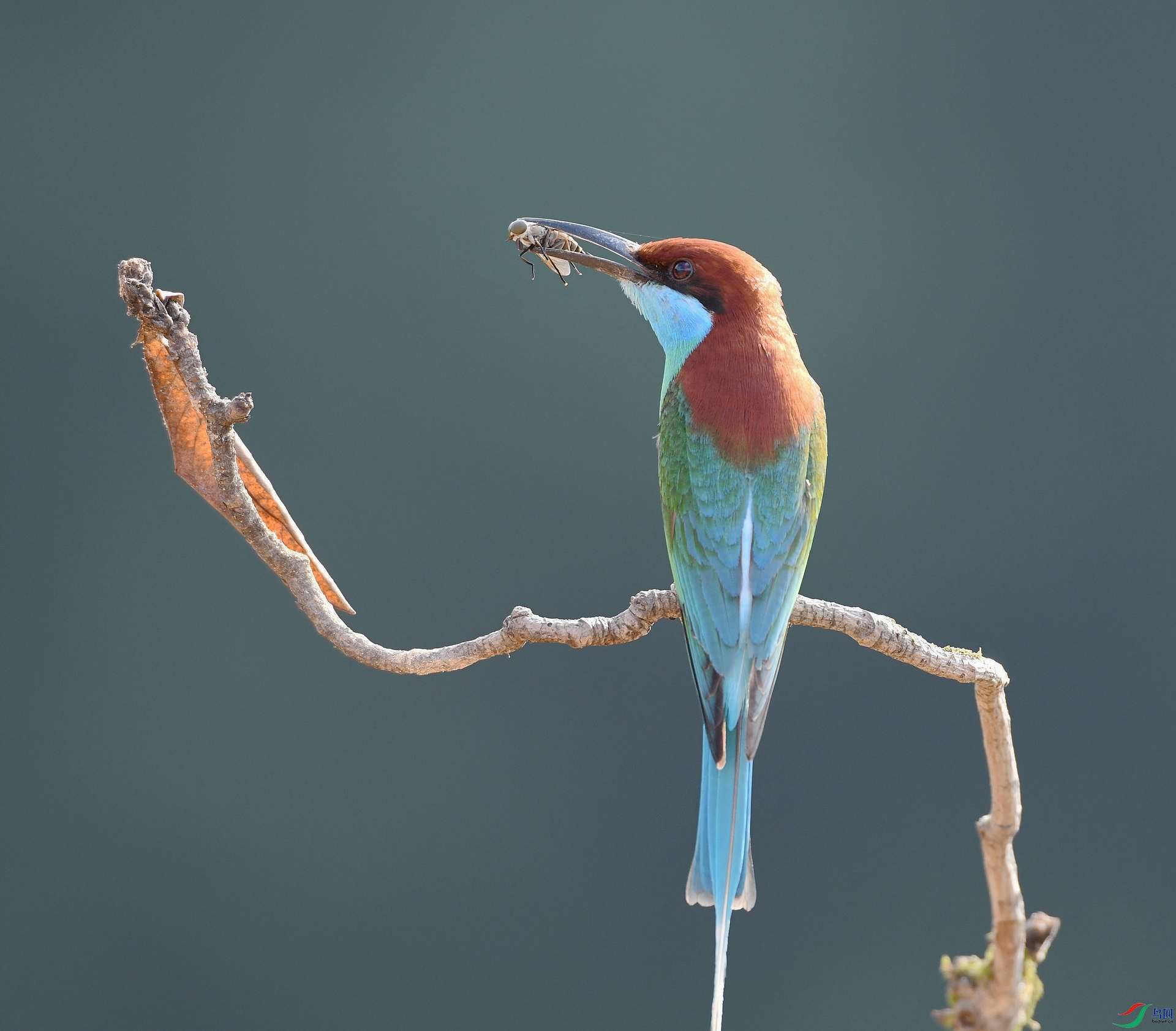 DSC_1496.jpg