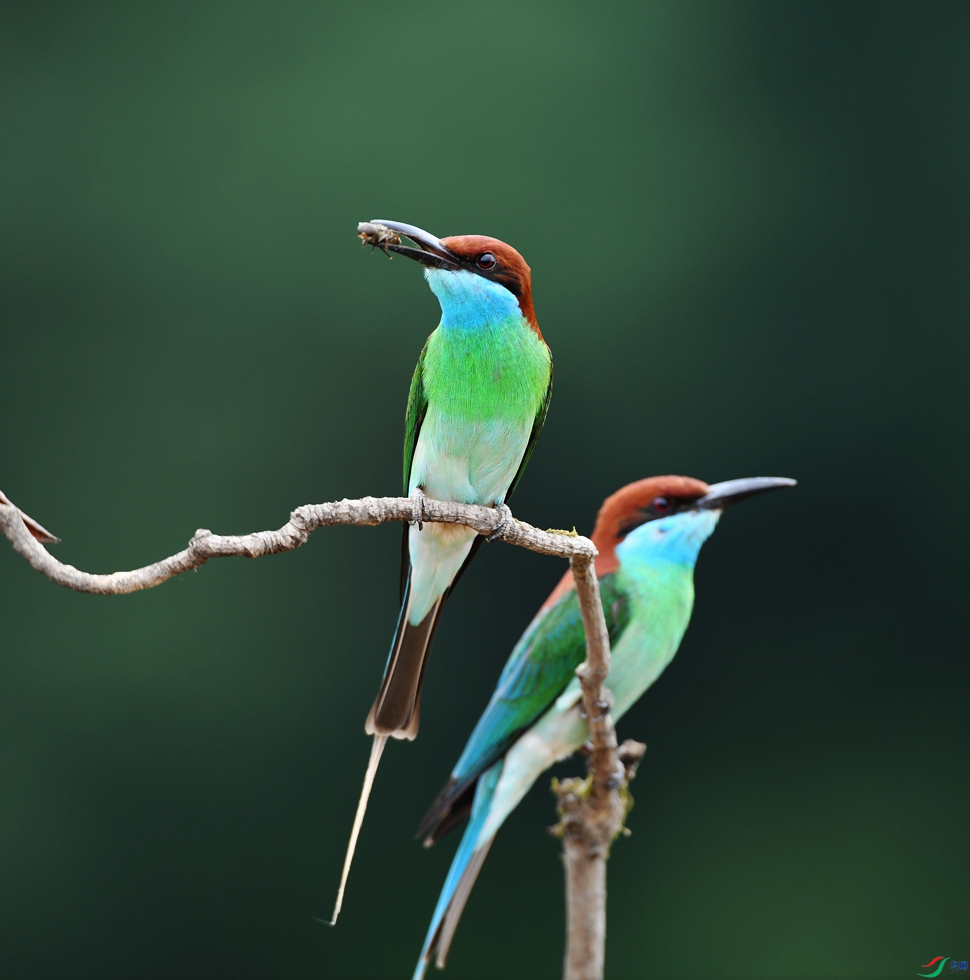 DSC_1817.jpg