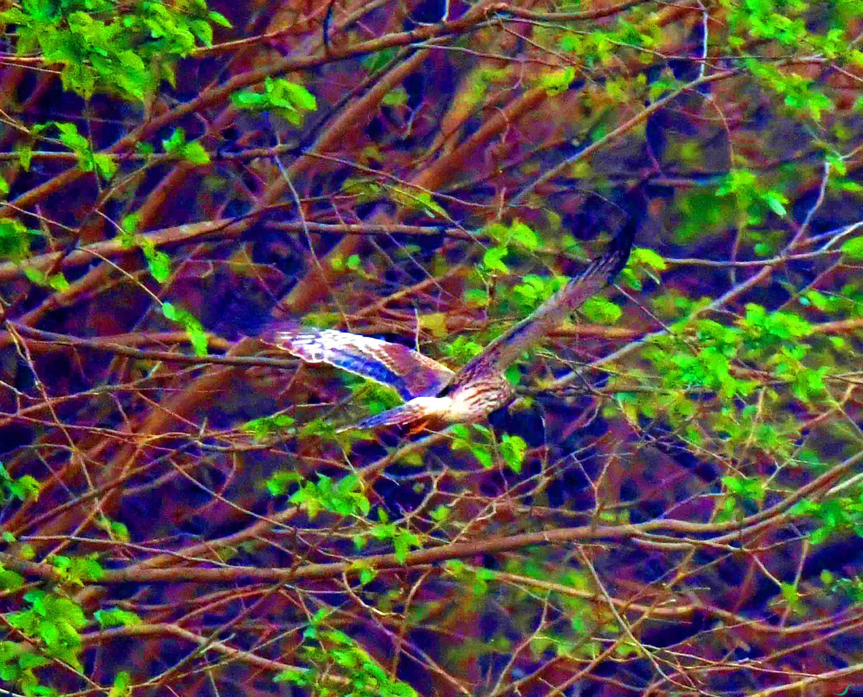 DSC_3302.JPG