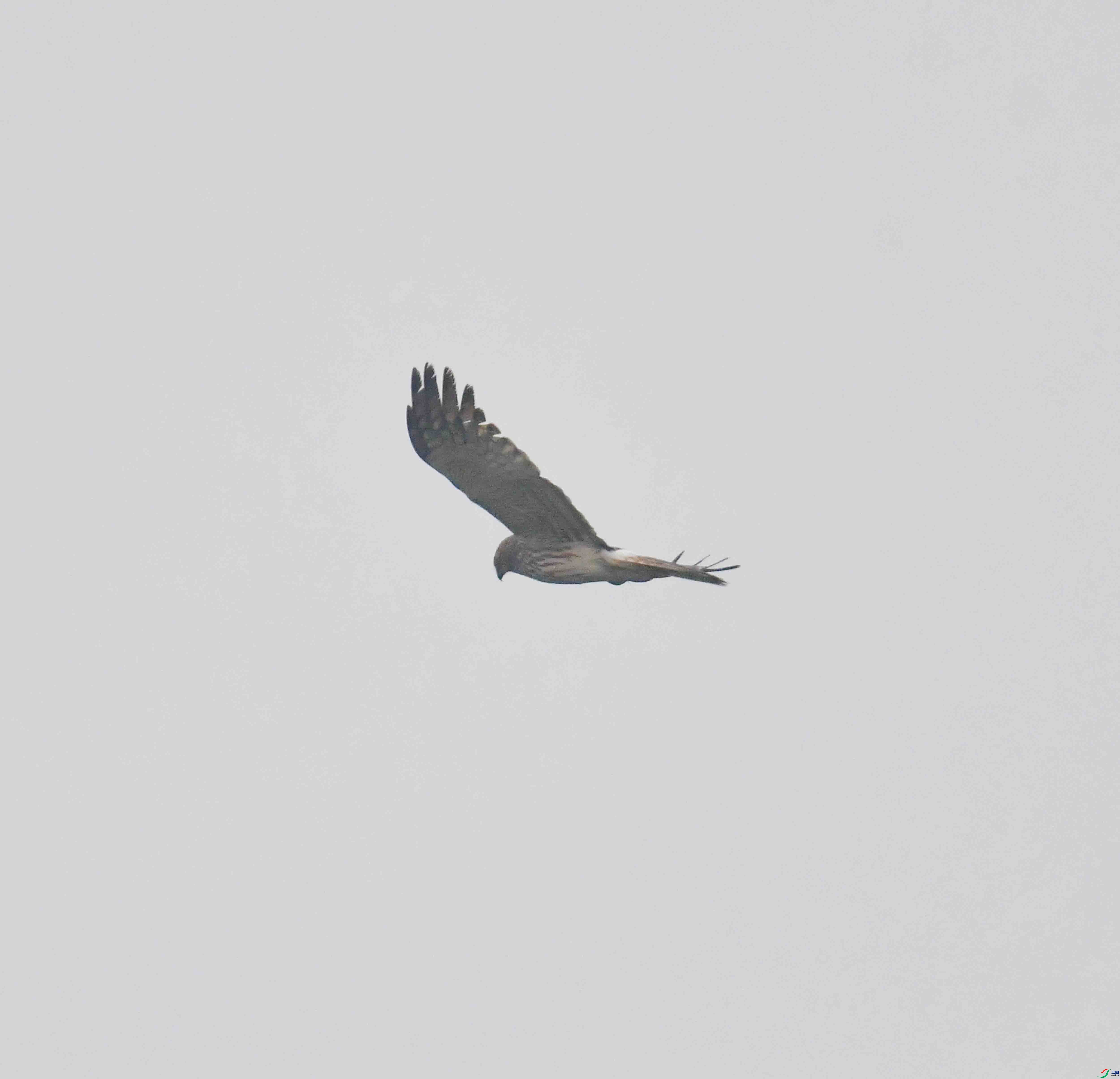 DSC_3320.JPG