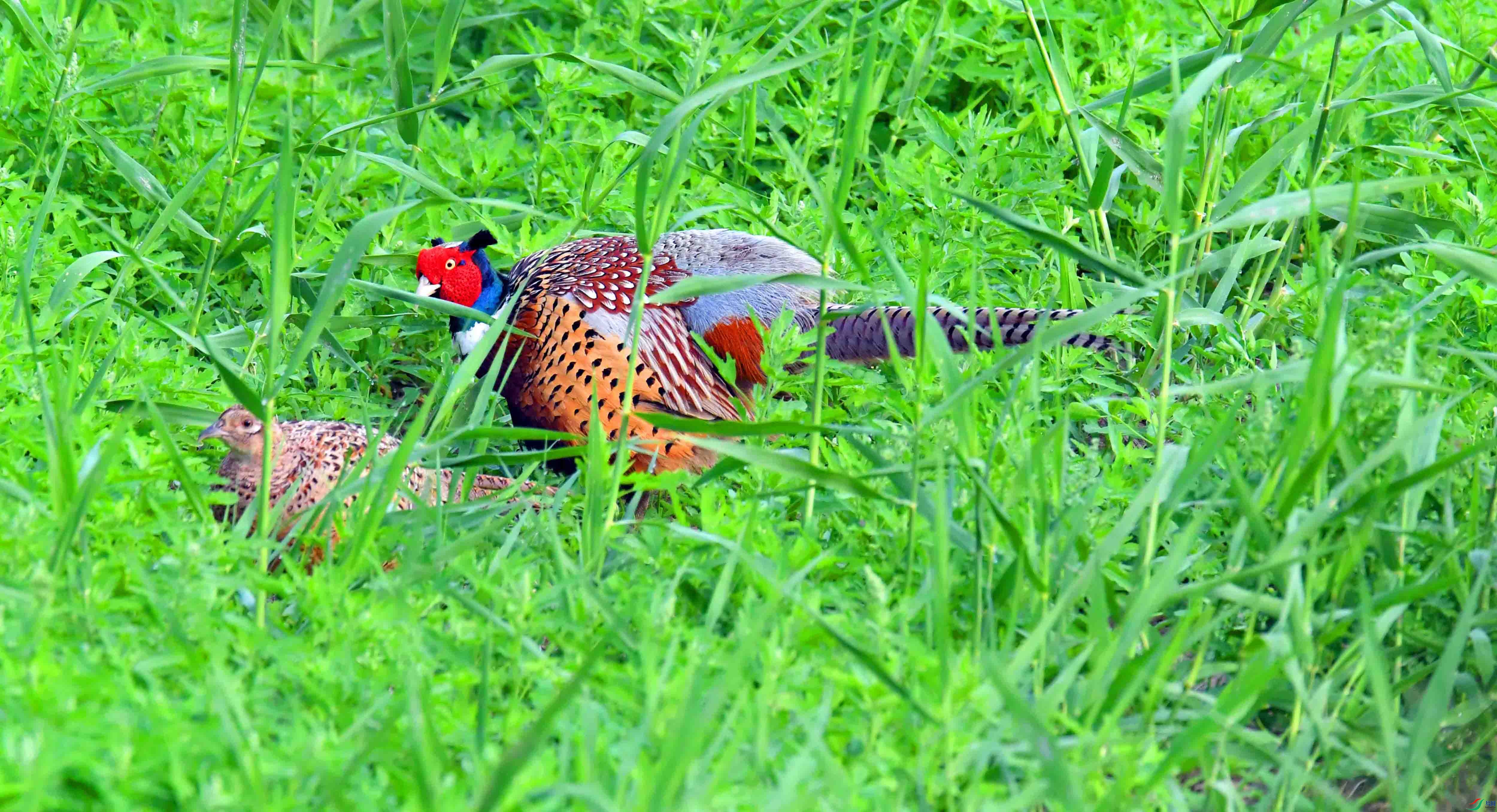 DSC_3973.JPG