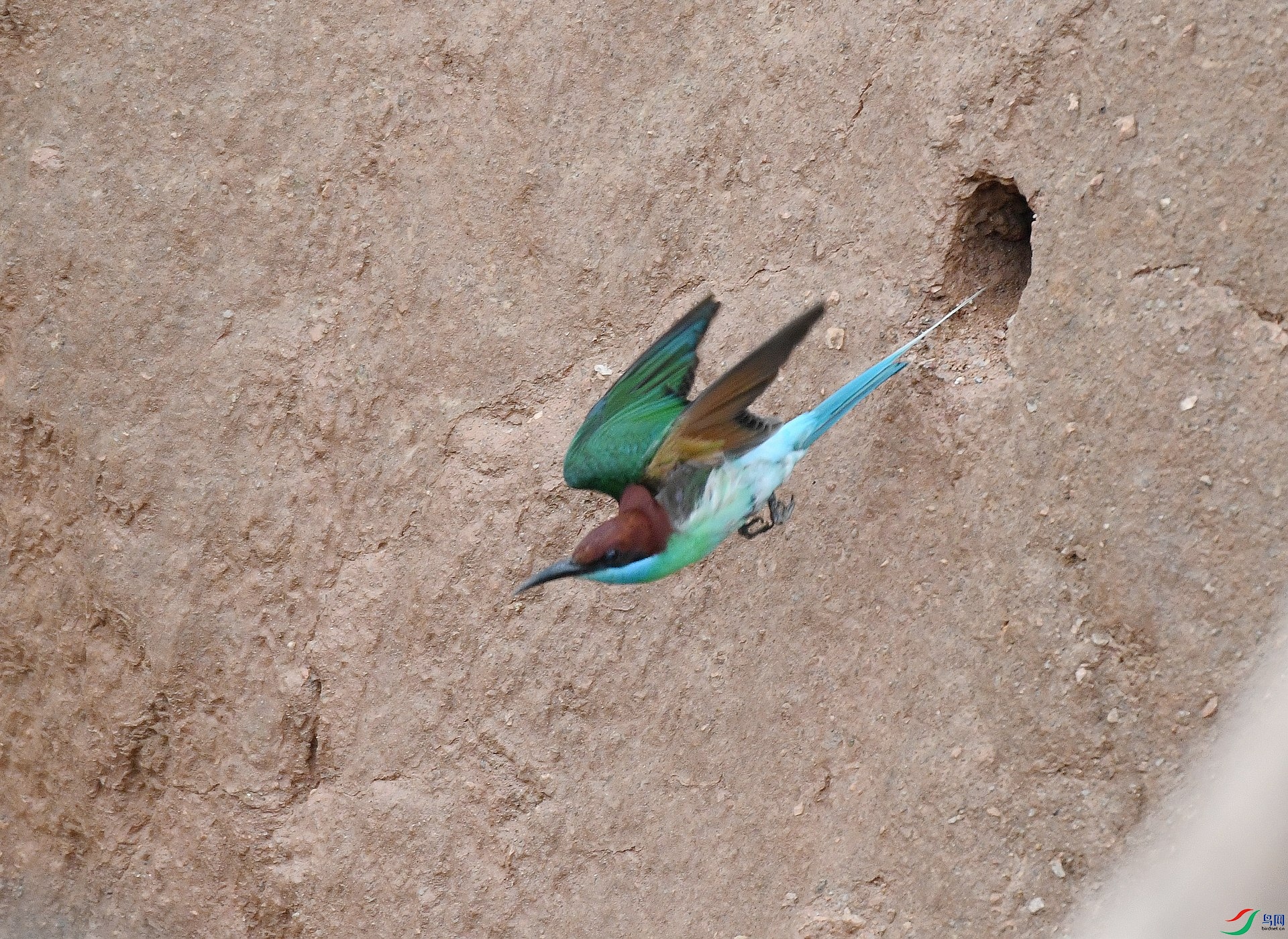 DSC_2048.jpg