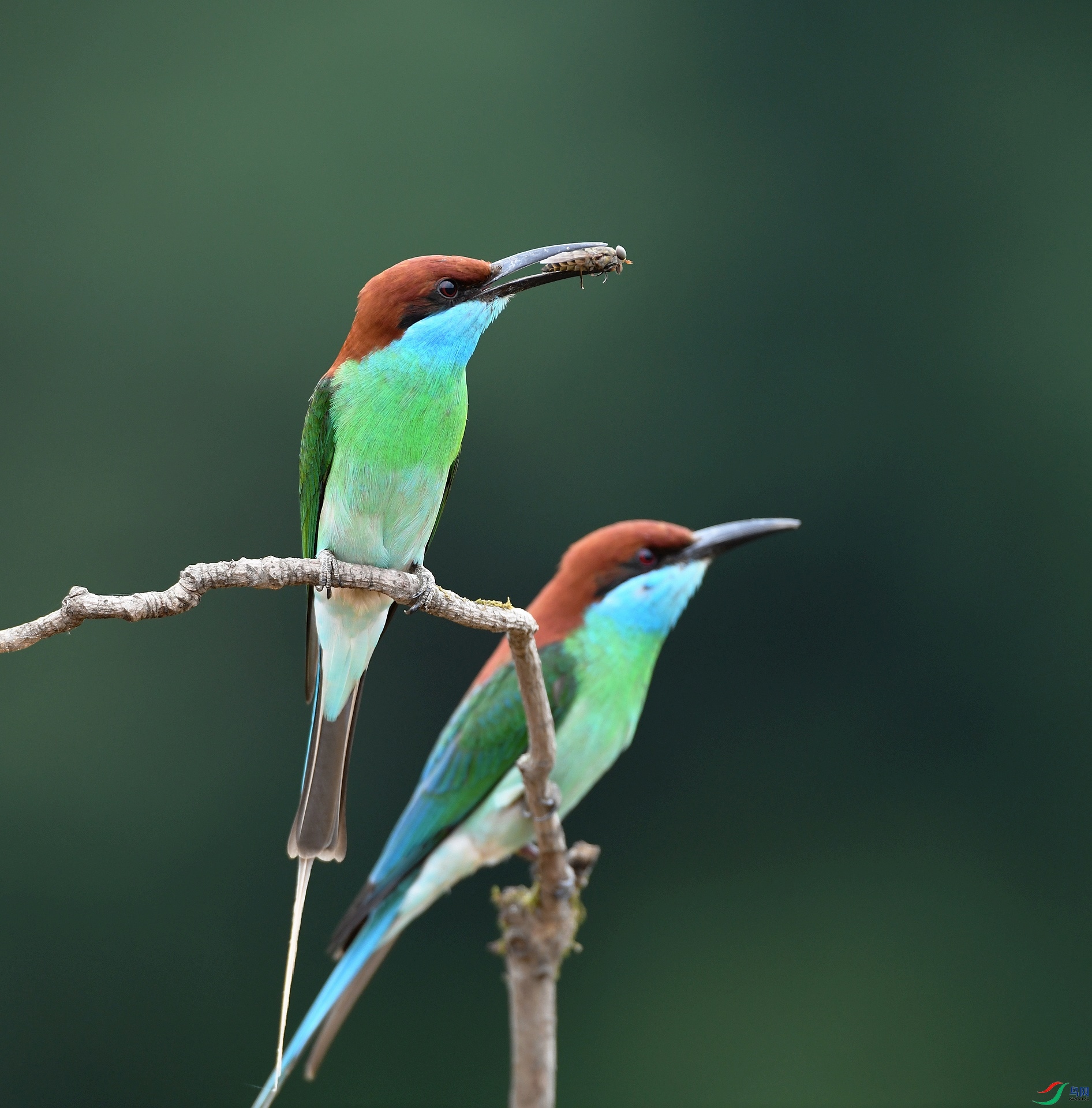 DSC_1810.jpg