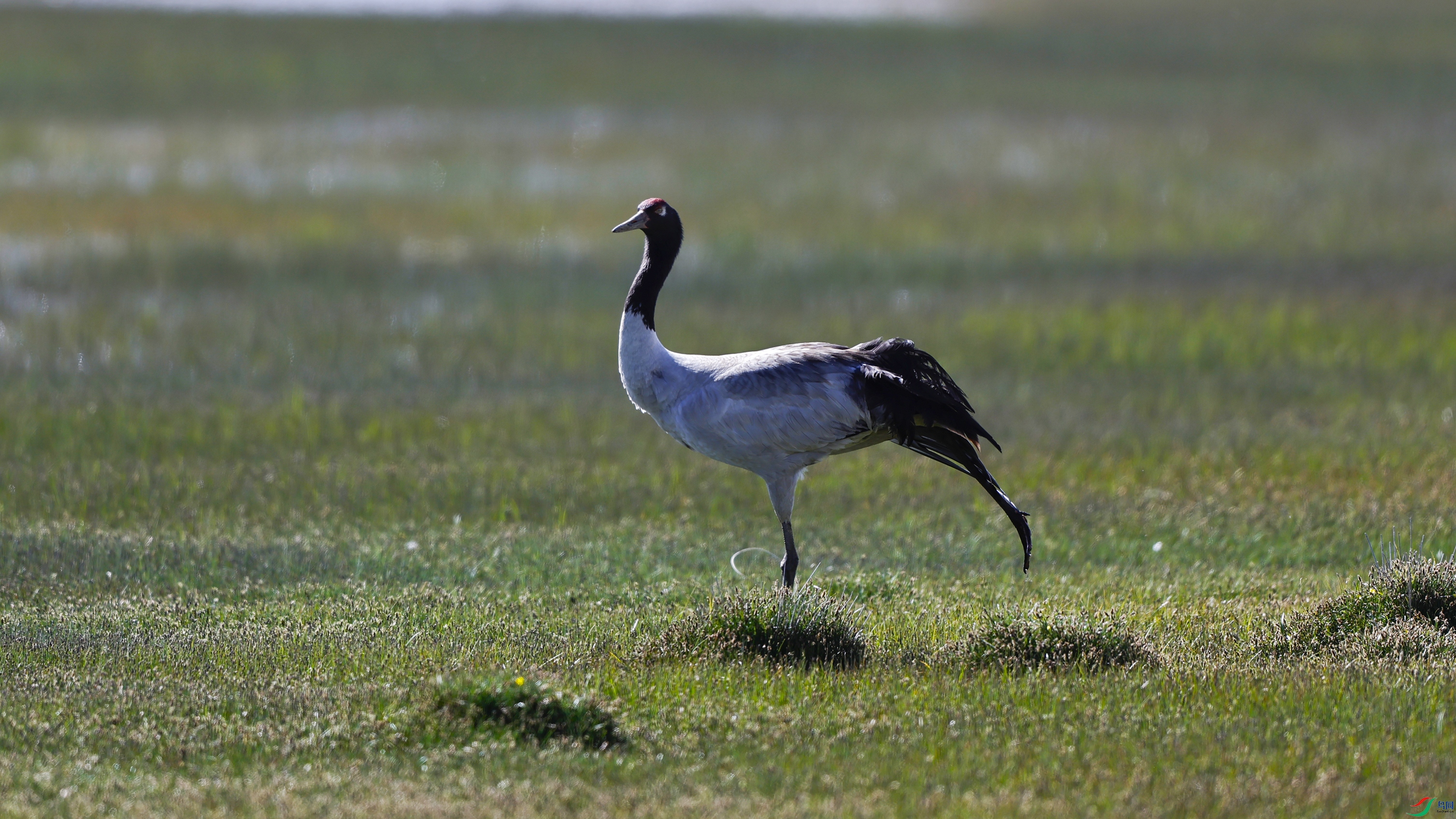 _O7A0404 ����4444.jpg