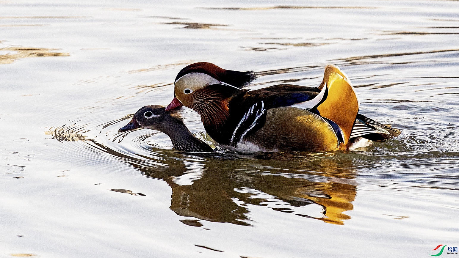 _90I9369 ���� 2.jpg