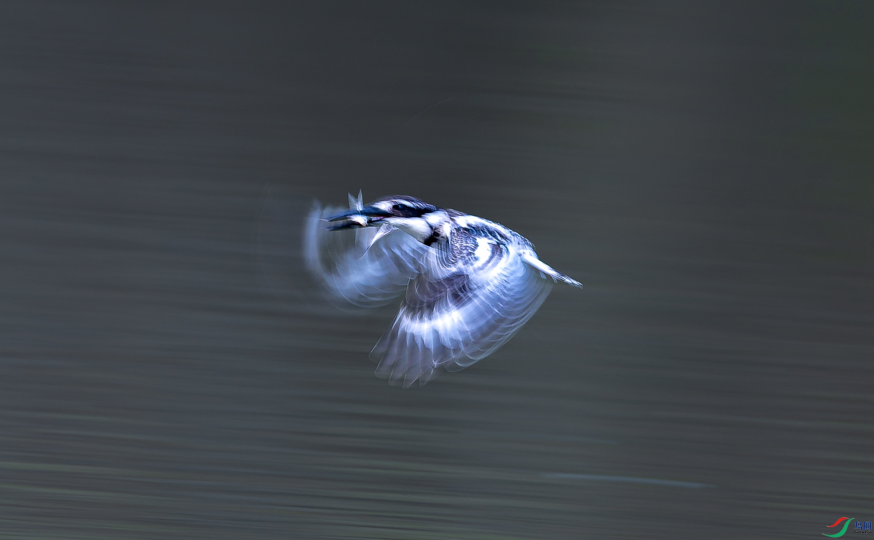 DSC_9354-DxO_DeepPRIME 3-2.jpg