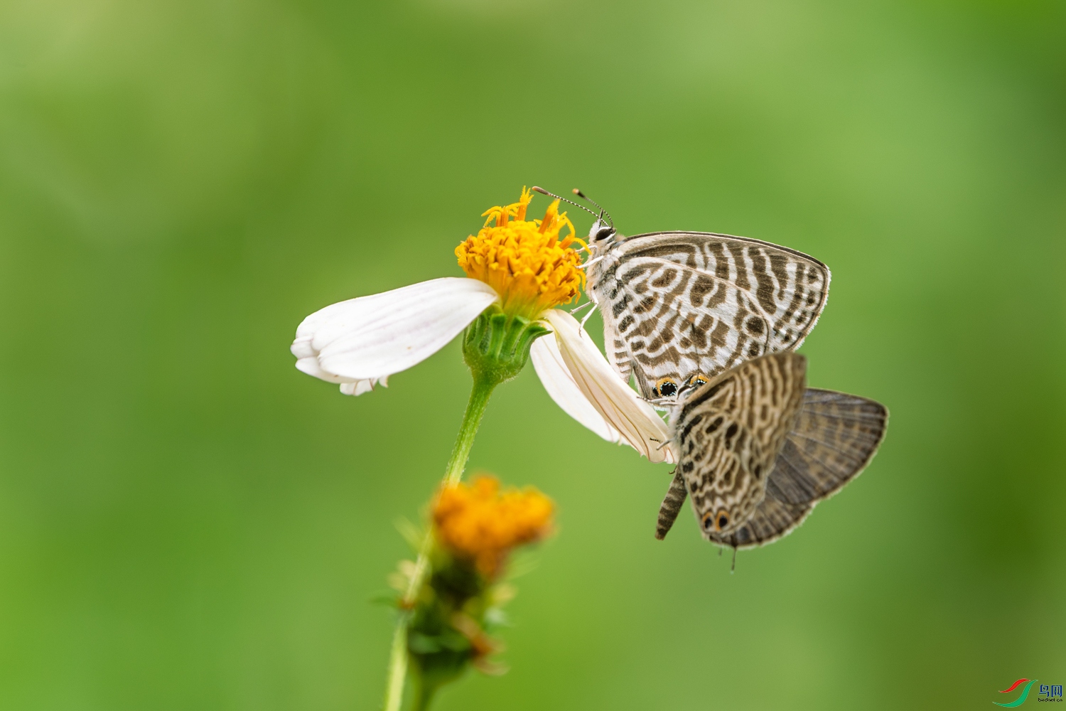 DSC_7669_1.JPG