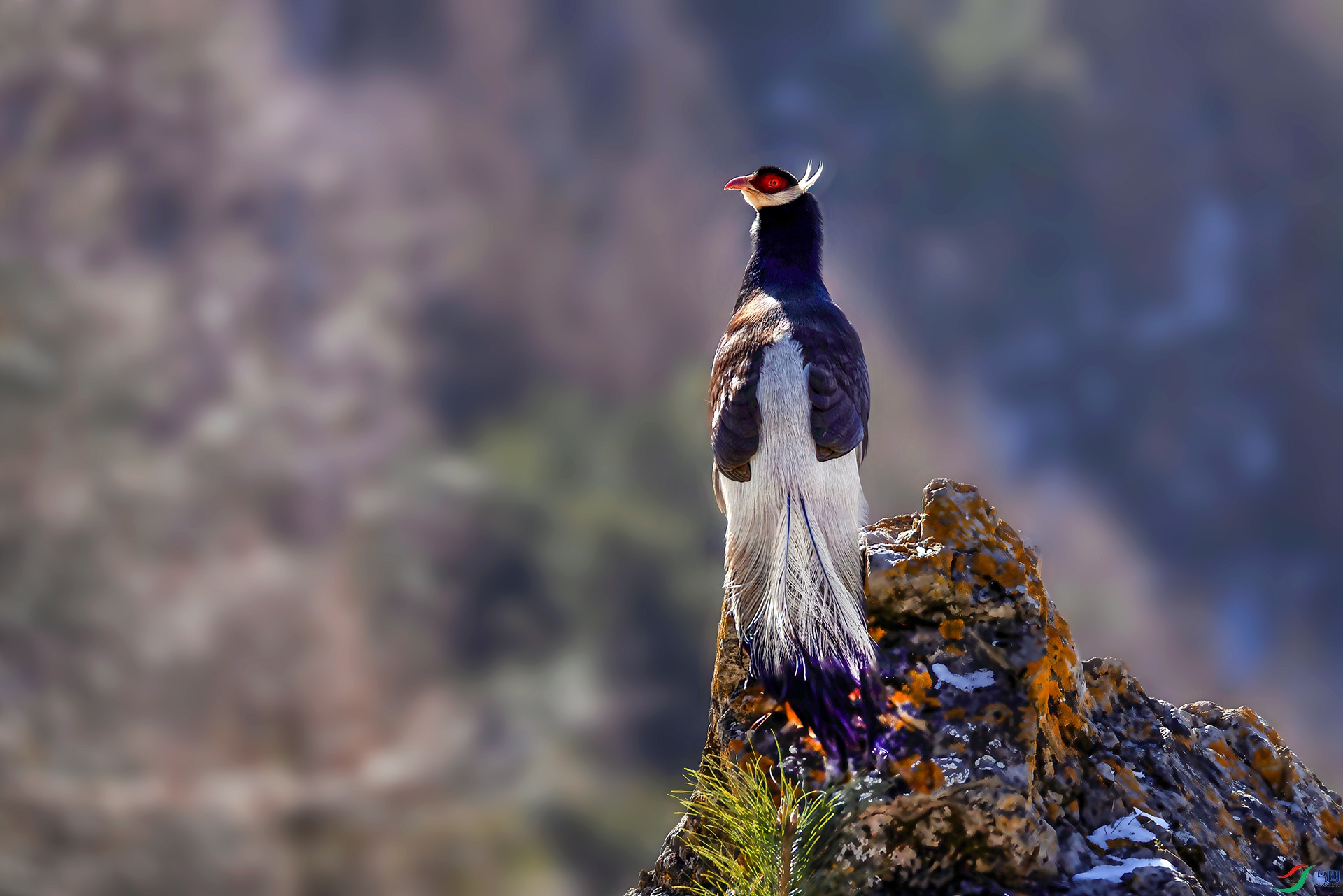 _07A3671 ����-Sh----1 .jpg