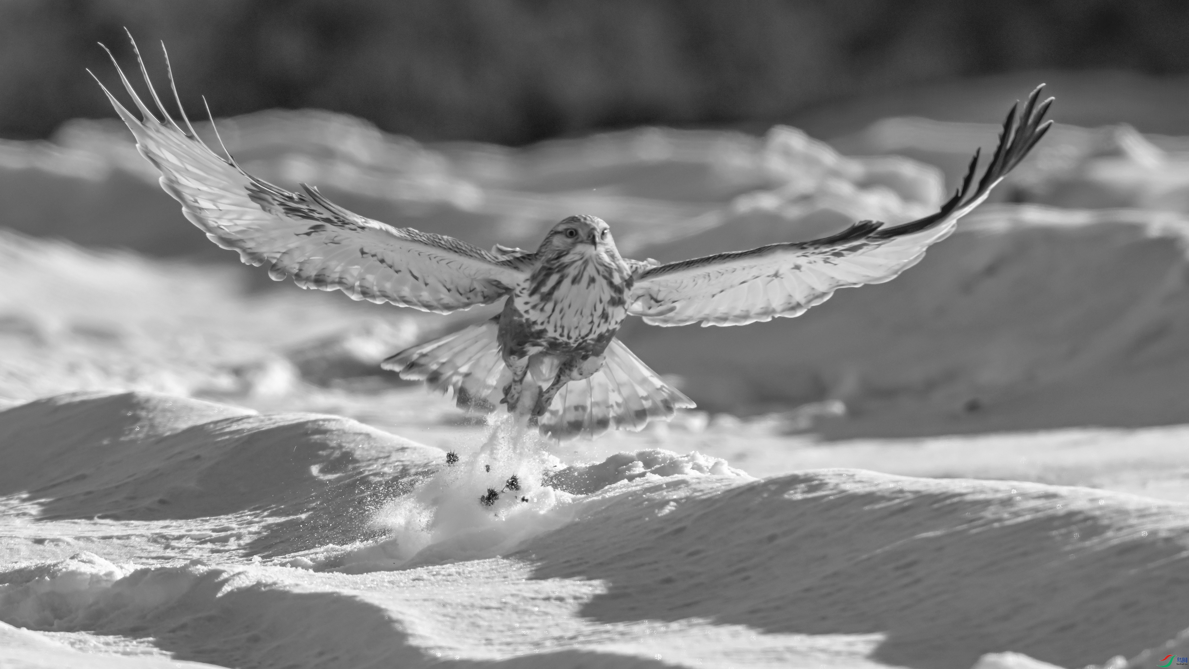 0154 ����.jpg