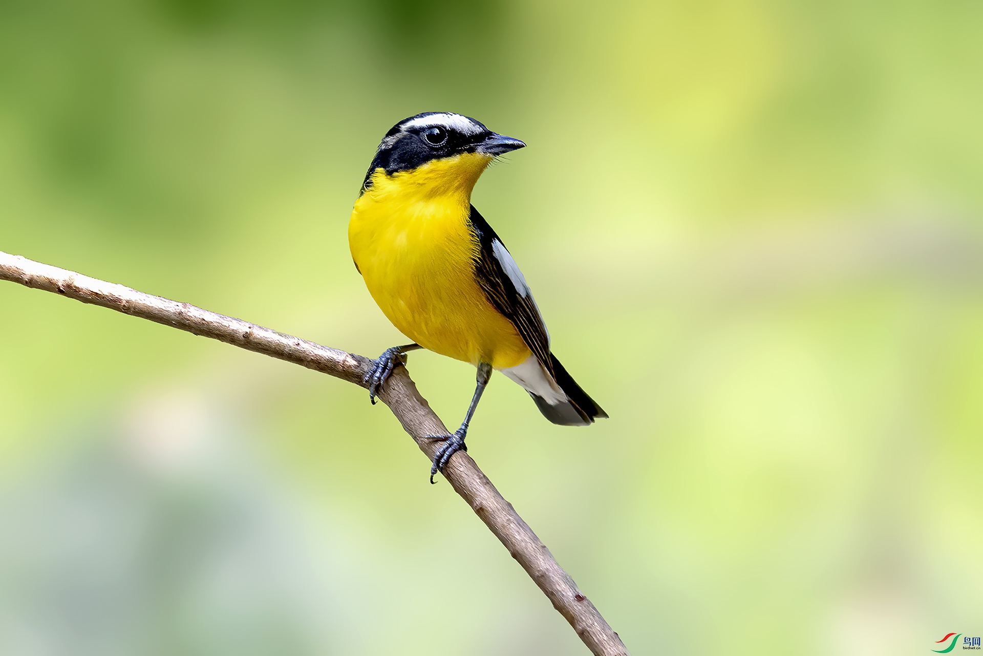 DSC_9078-.jpg