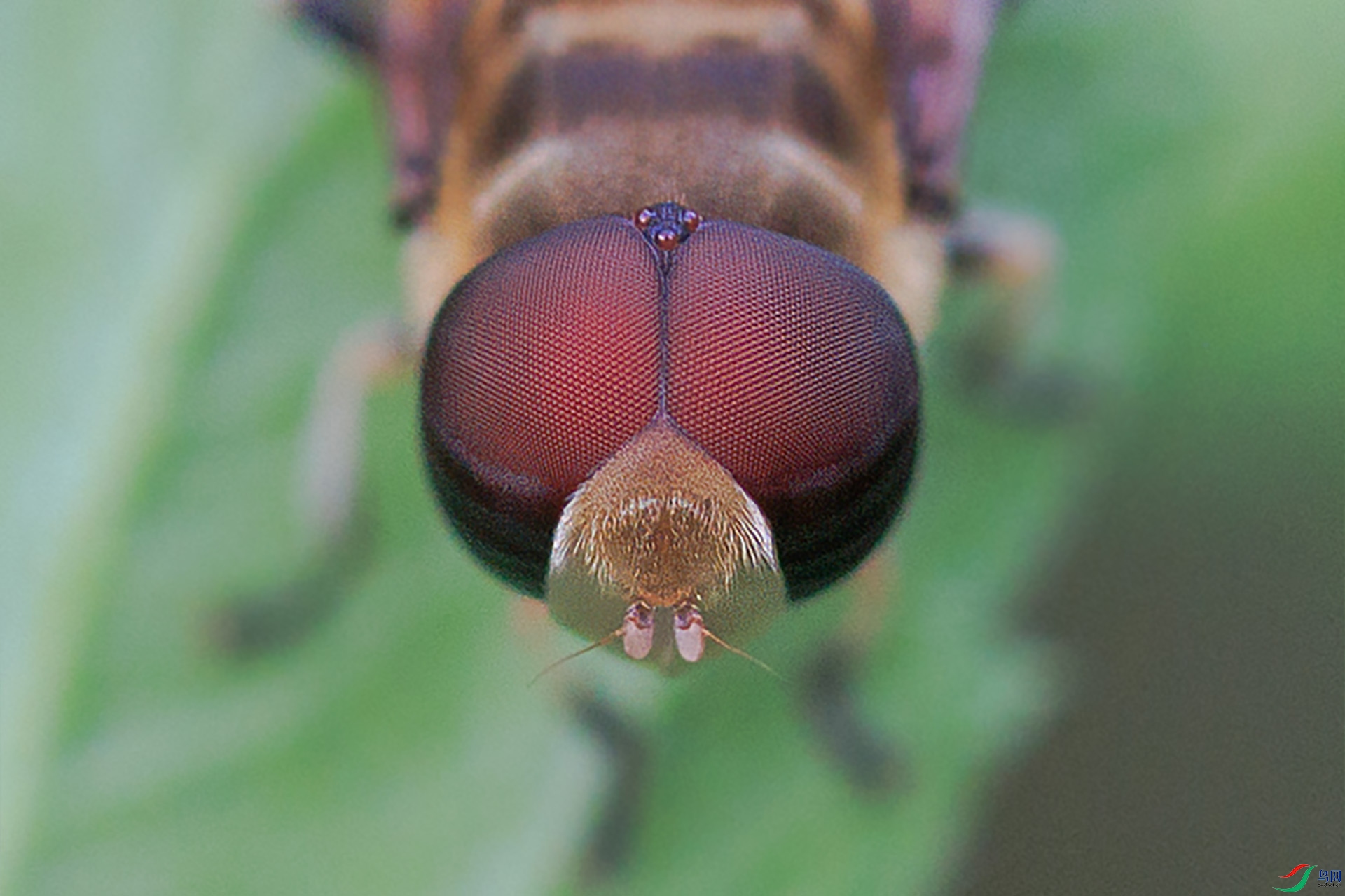 N38A0764-1.jpg