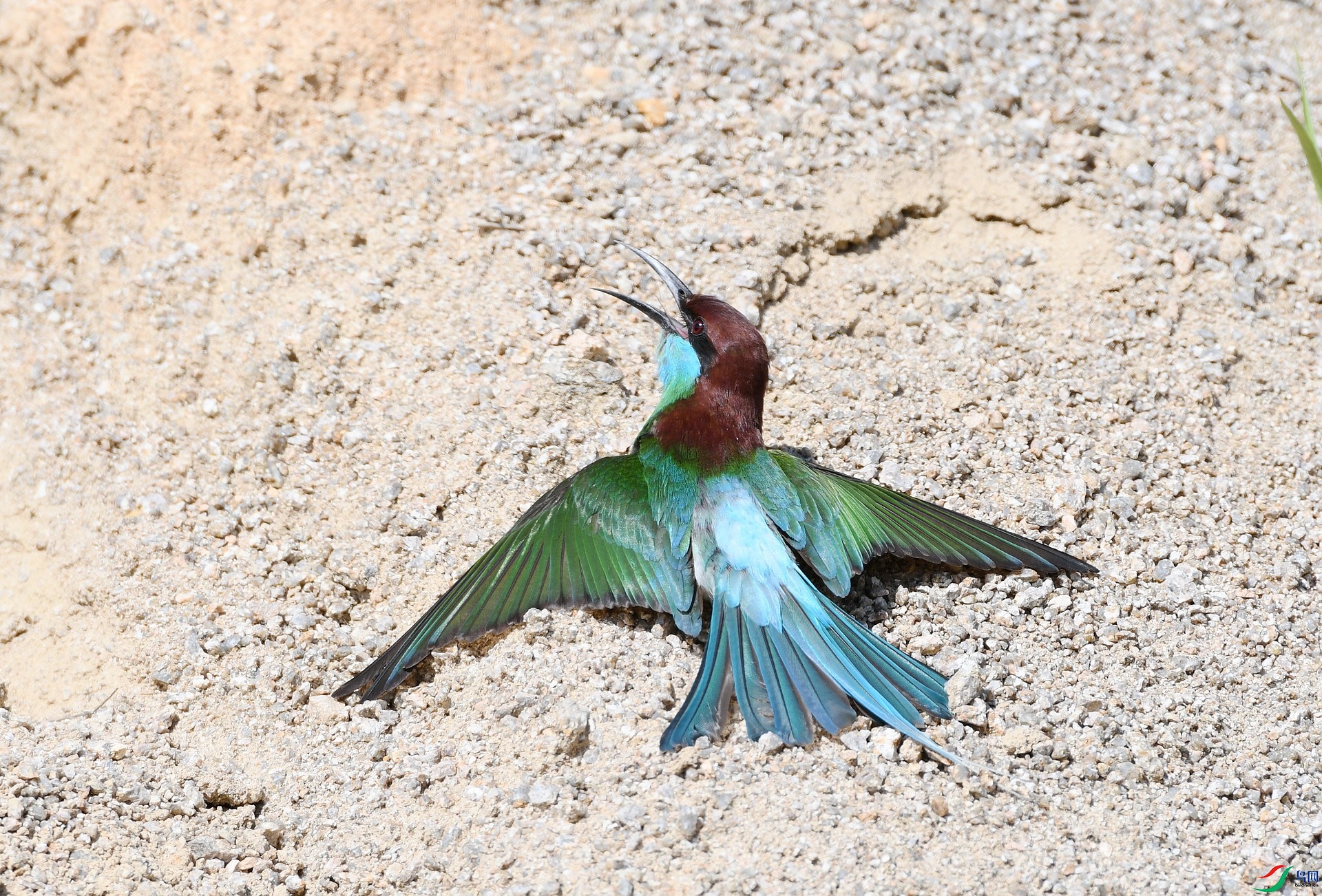 DSC_8892.jpg