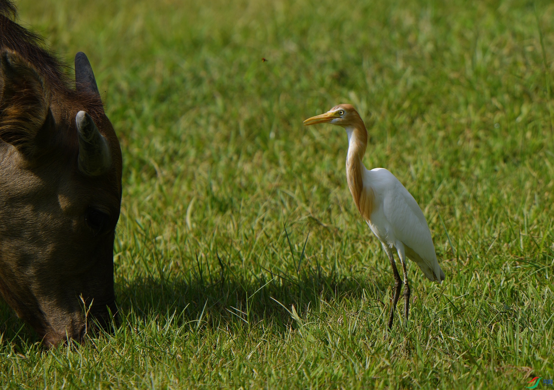 DSC_8649.jpg