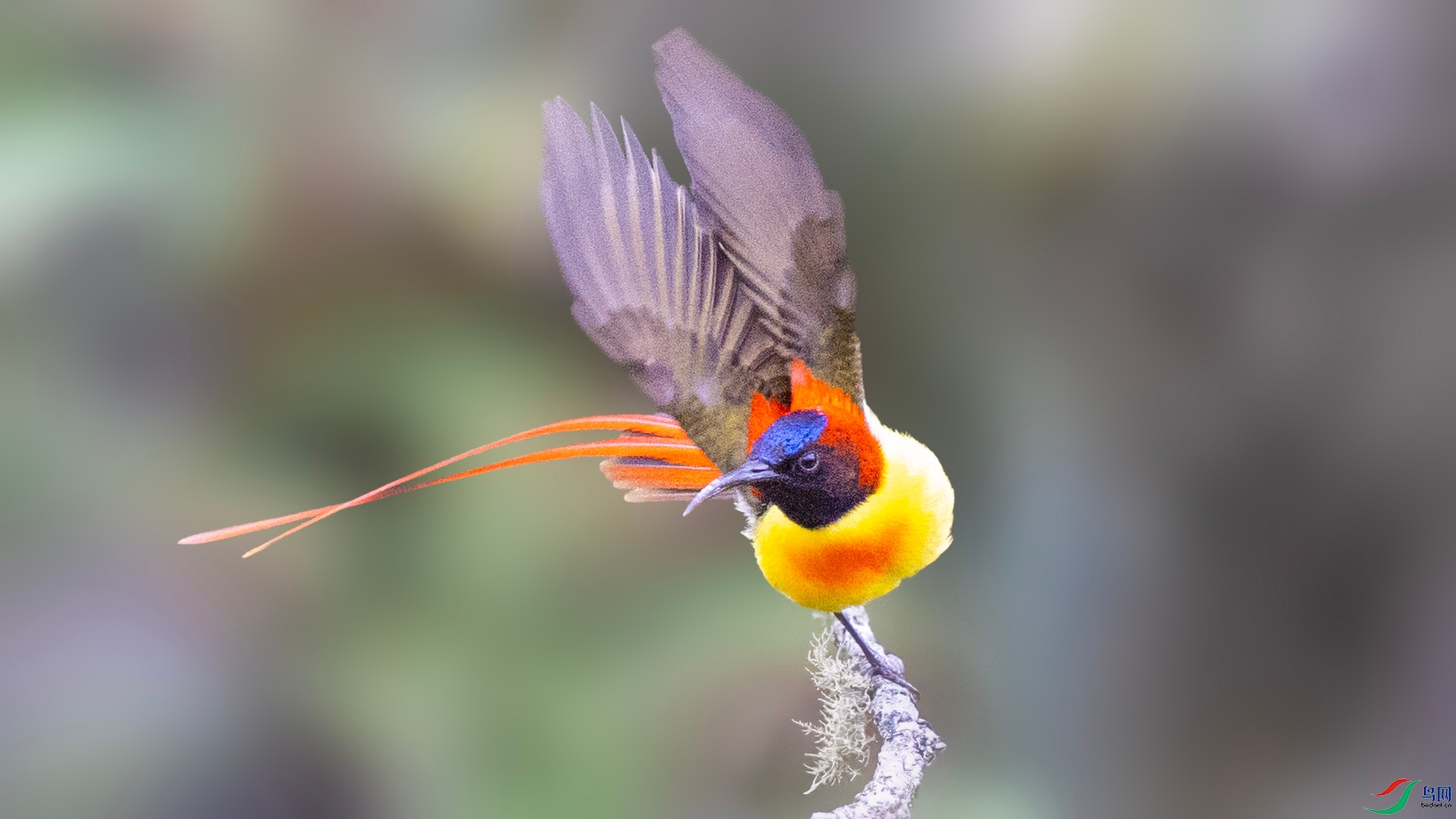 1O9A9261 ����_����.jpg