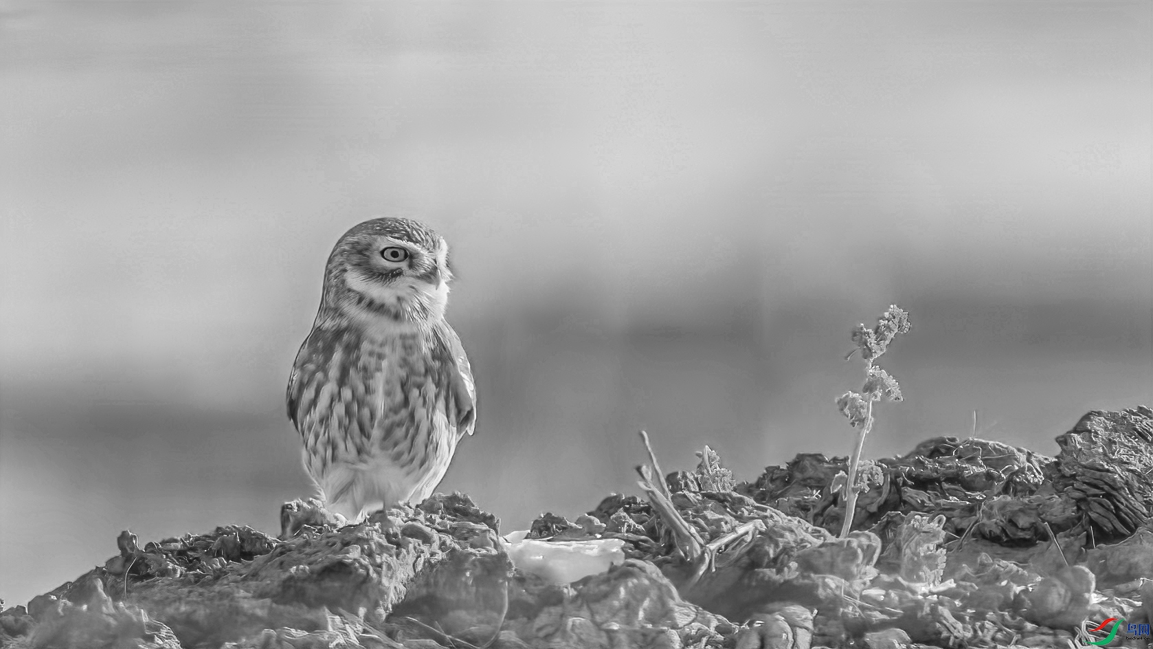 _09R6148 ����.jpg