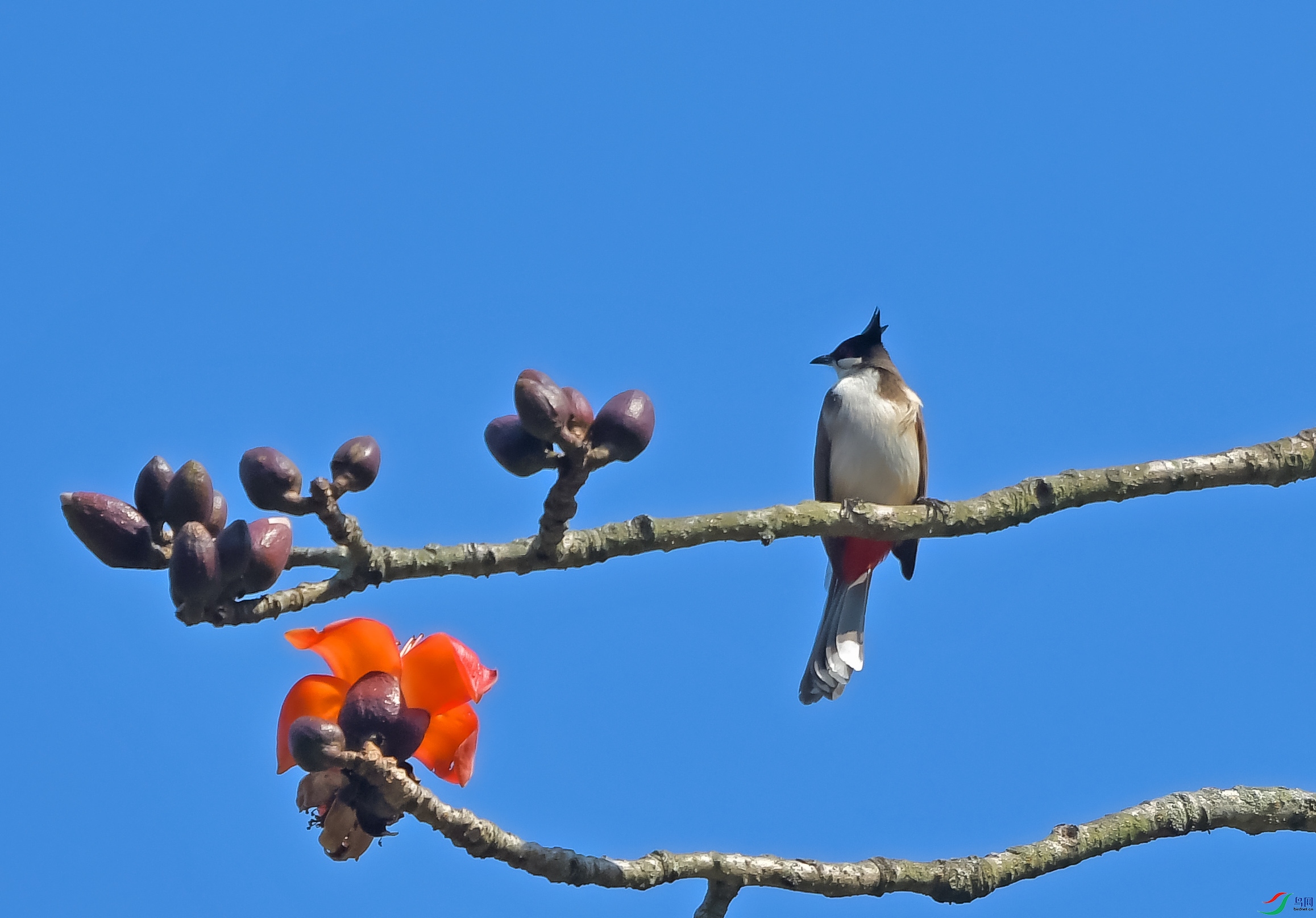 DSC_5764.JPG