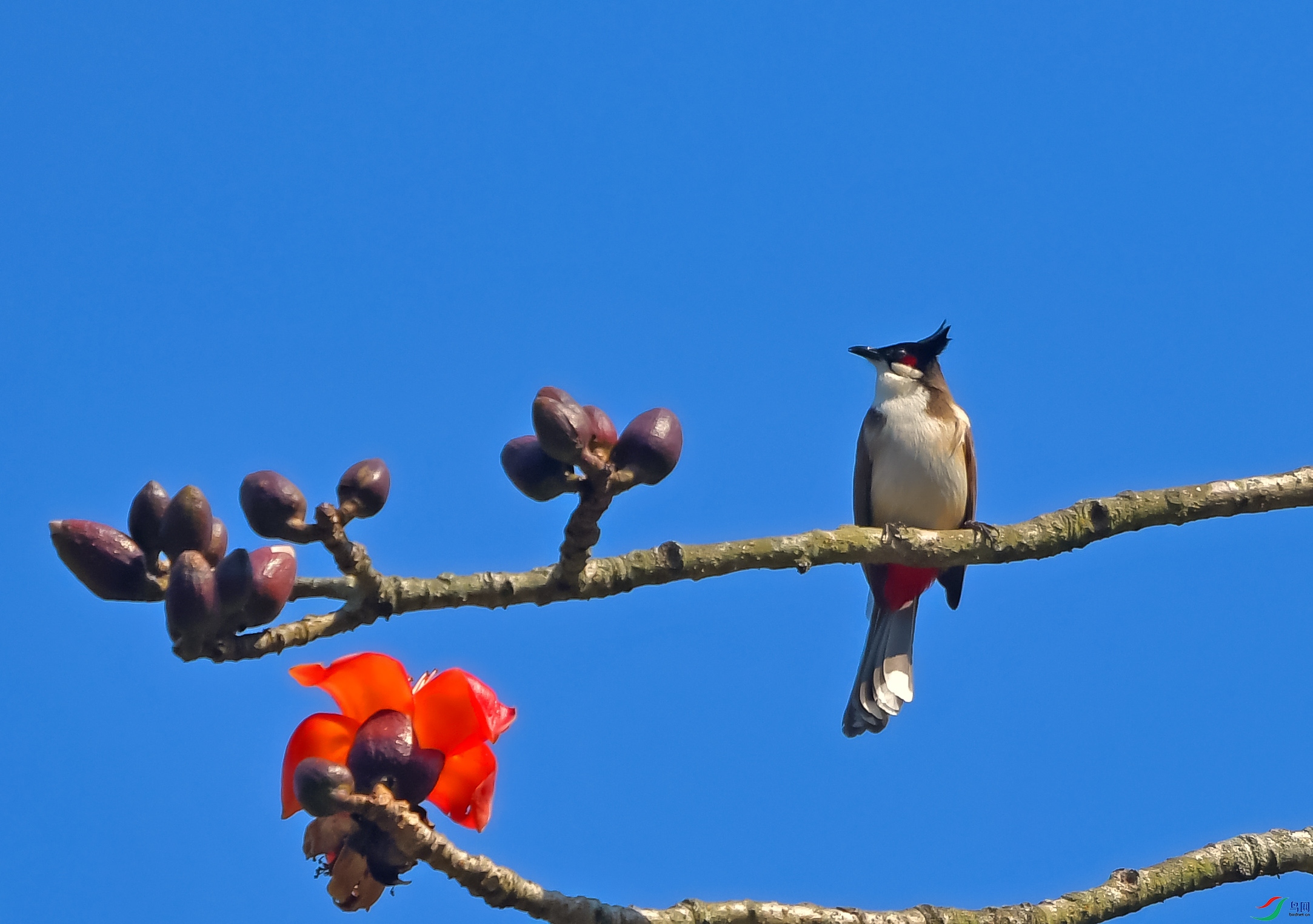 DSC_5765.JPG