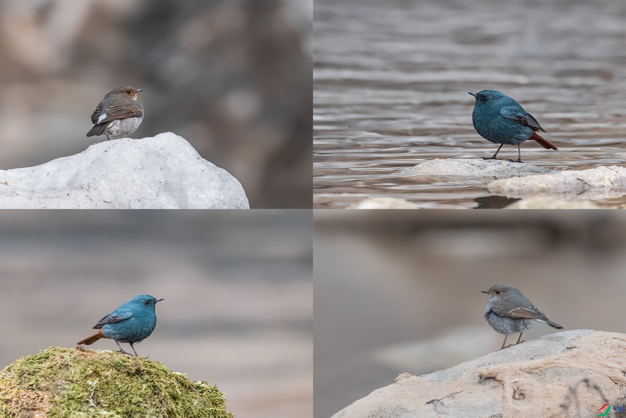 4��.jpg