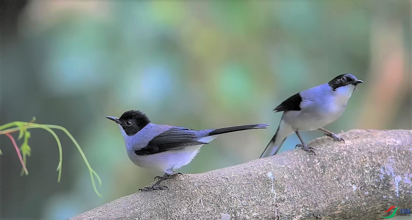7W6J9161.jpg