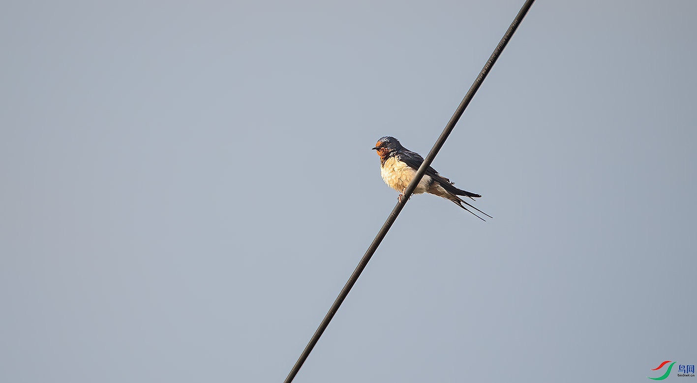 _DSC3220-����ǿ-NR ����.jpg