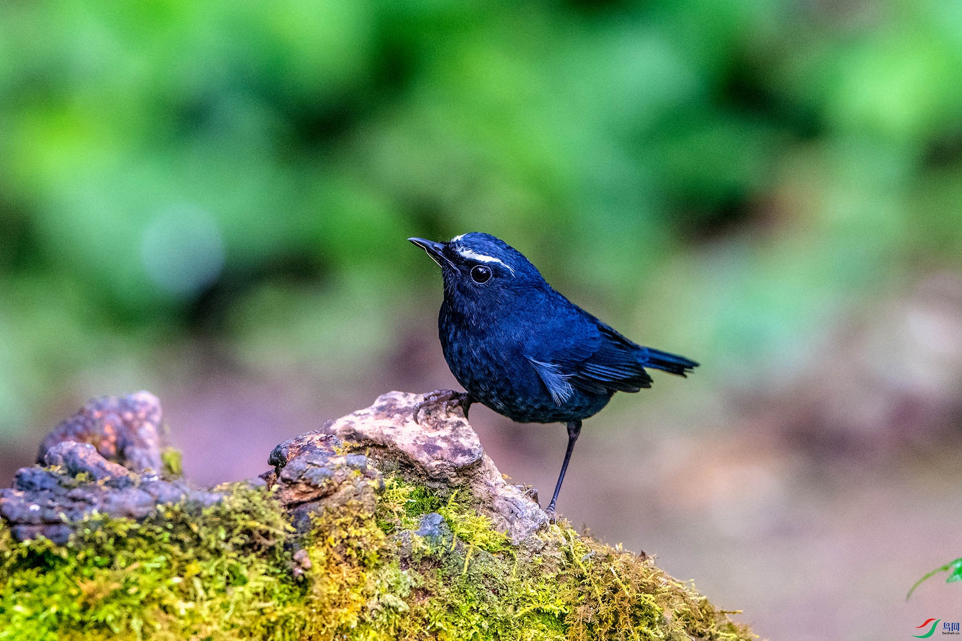 ��_AUU1546��ϲɽ�̳��(24.2.15)-1.jpg
