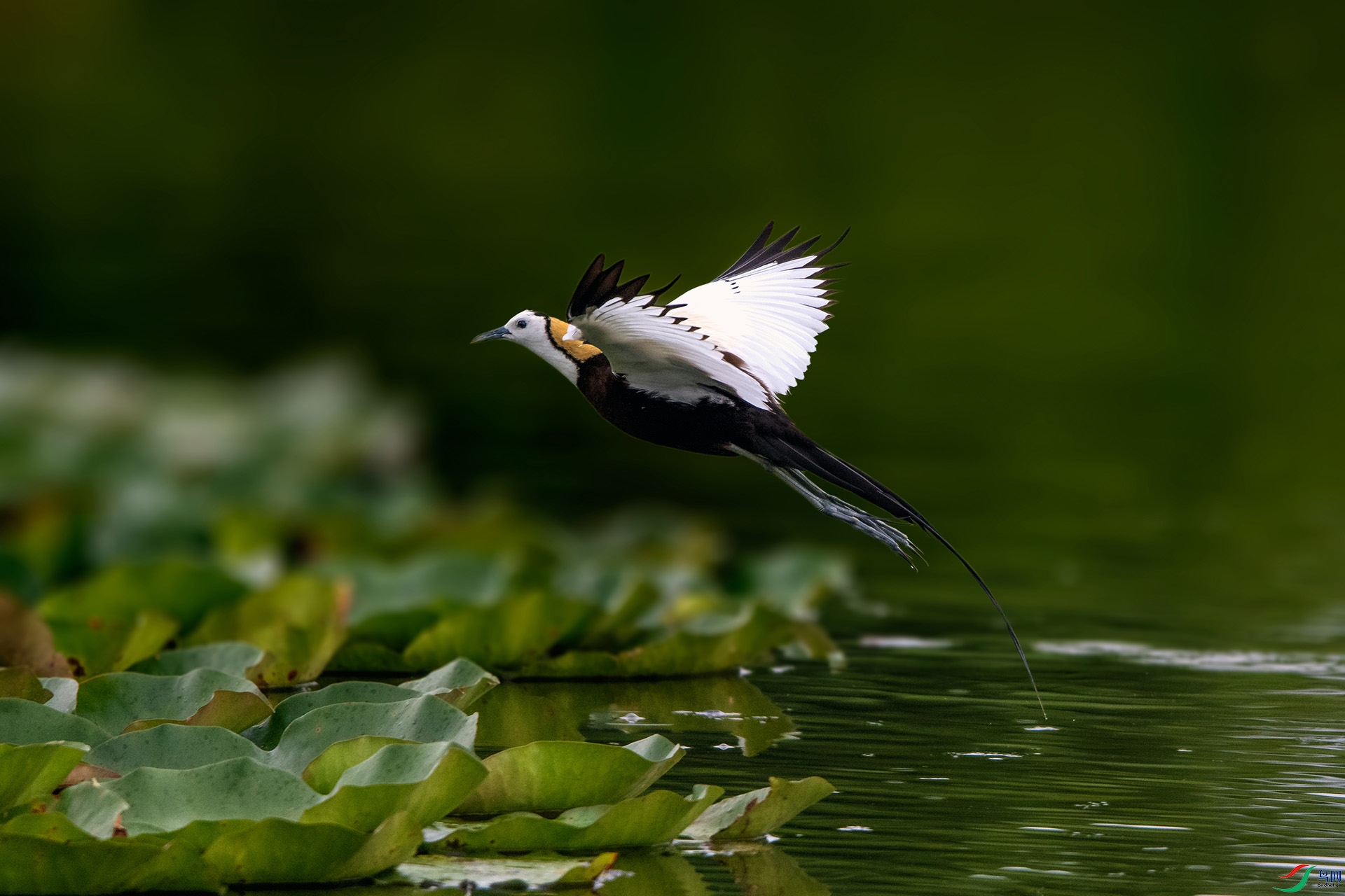 ��_AUU1983��ˮ��(23.7.4)-1.jpg