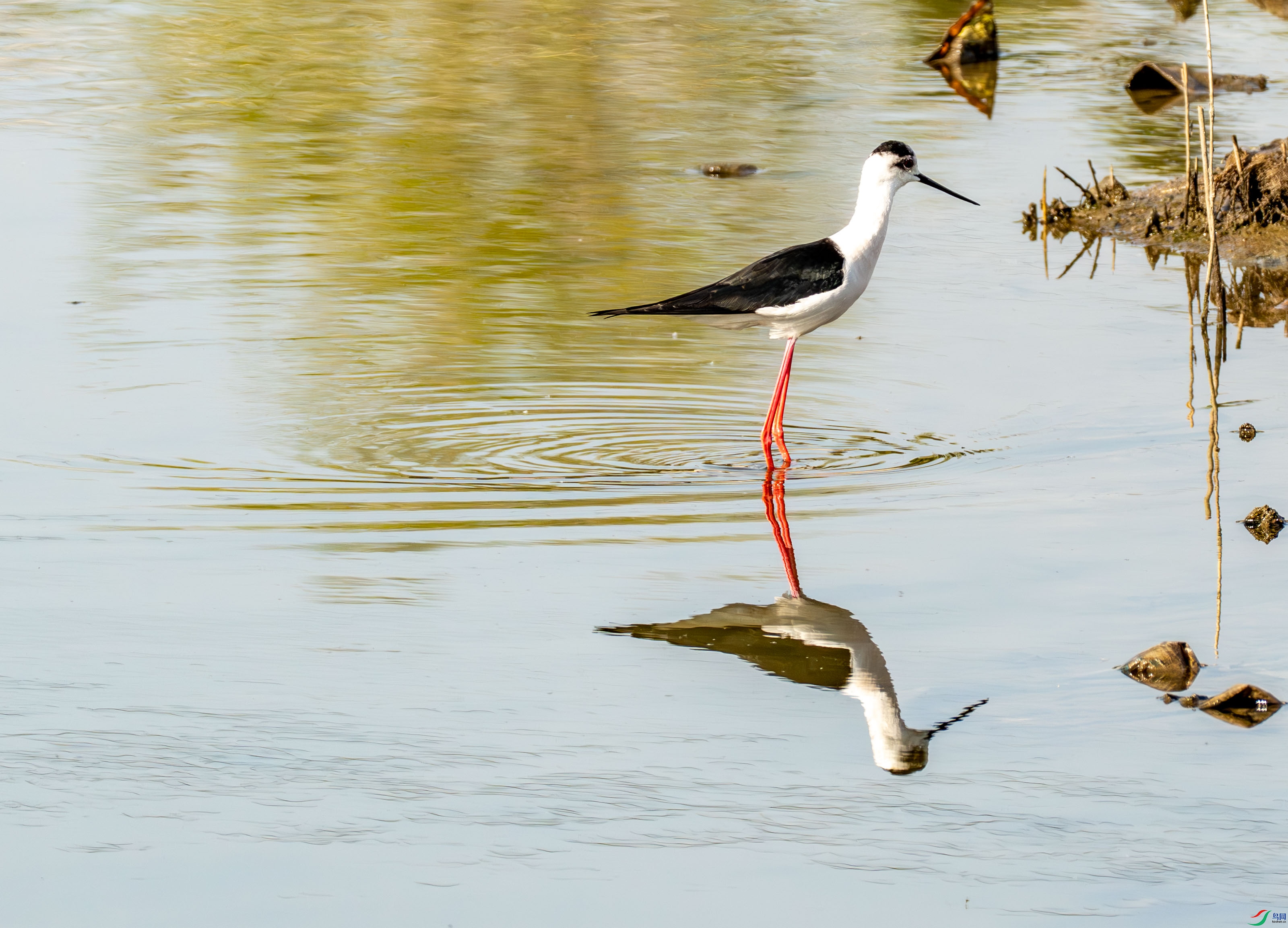 �ڳ᳤���� (4 - 21).jpg