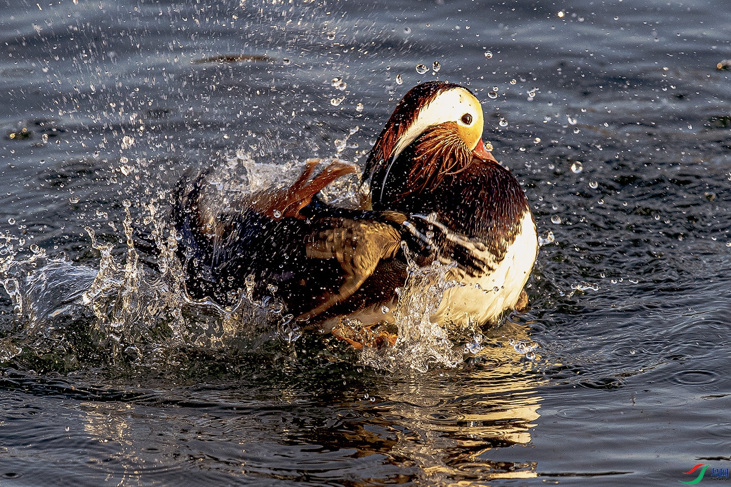 _90I9131 ���� 2.jpg