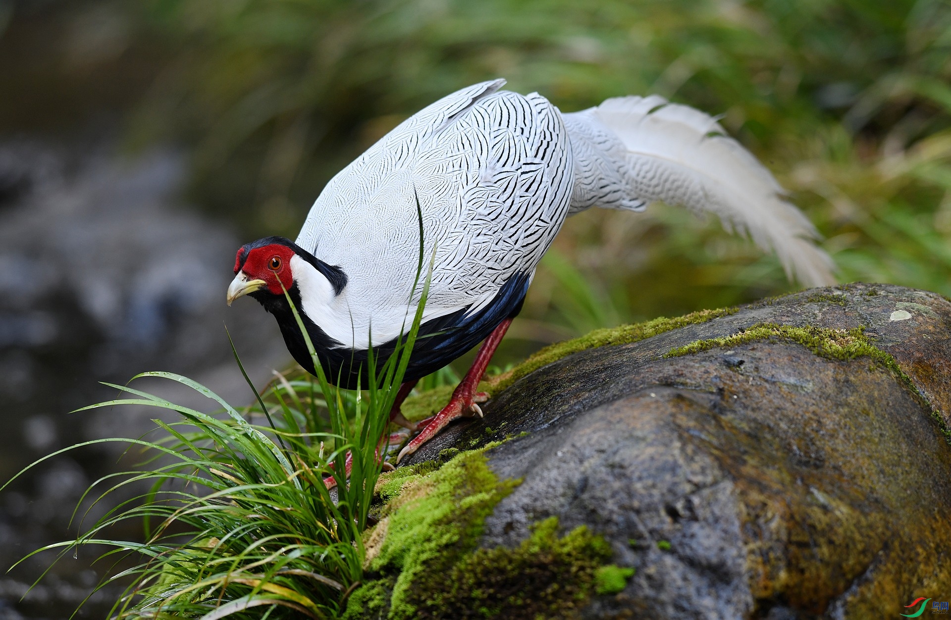 DSC_0029.jpg