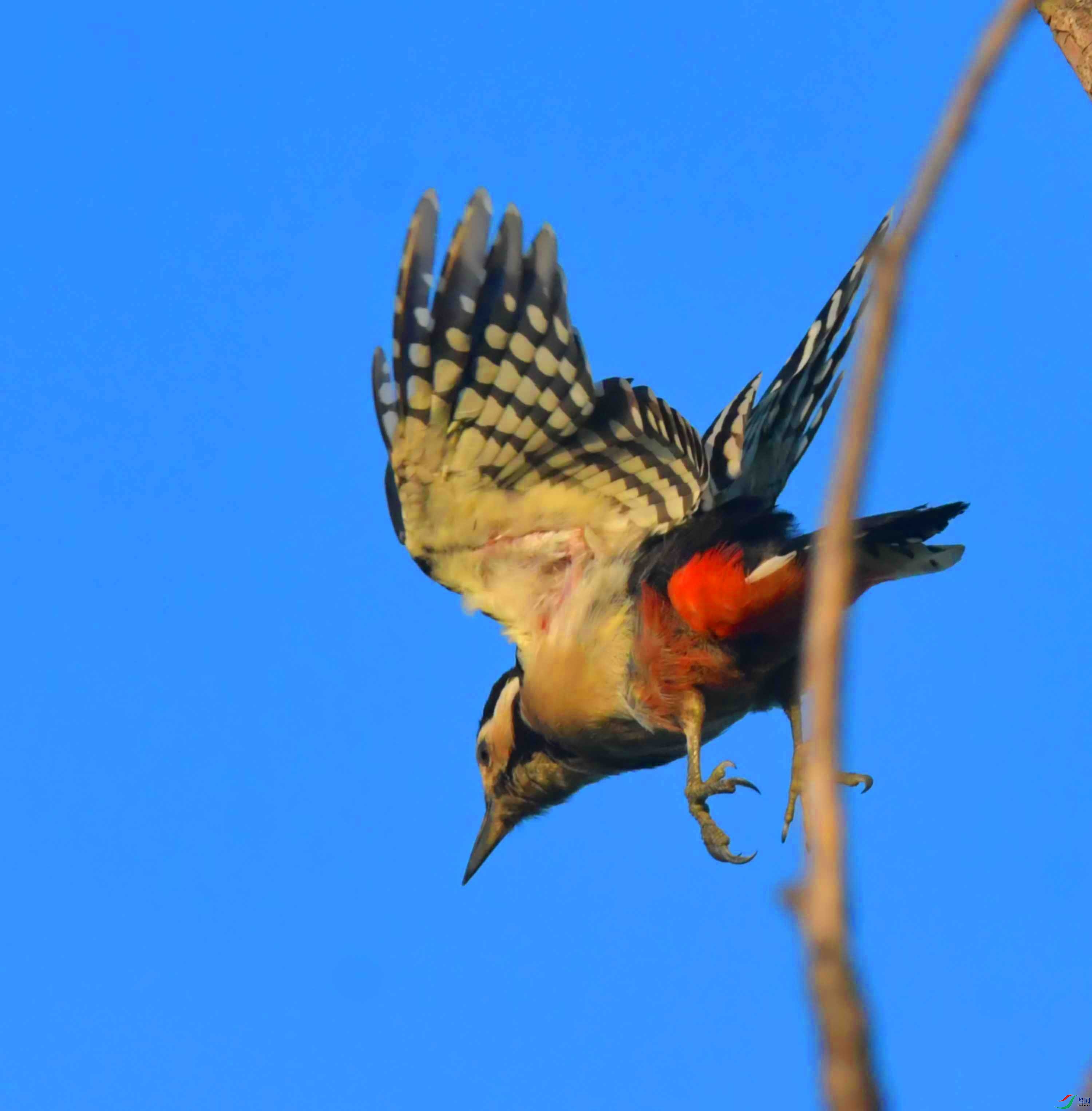 DSC_3152.JPG