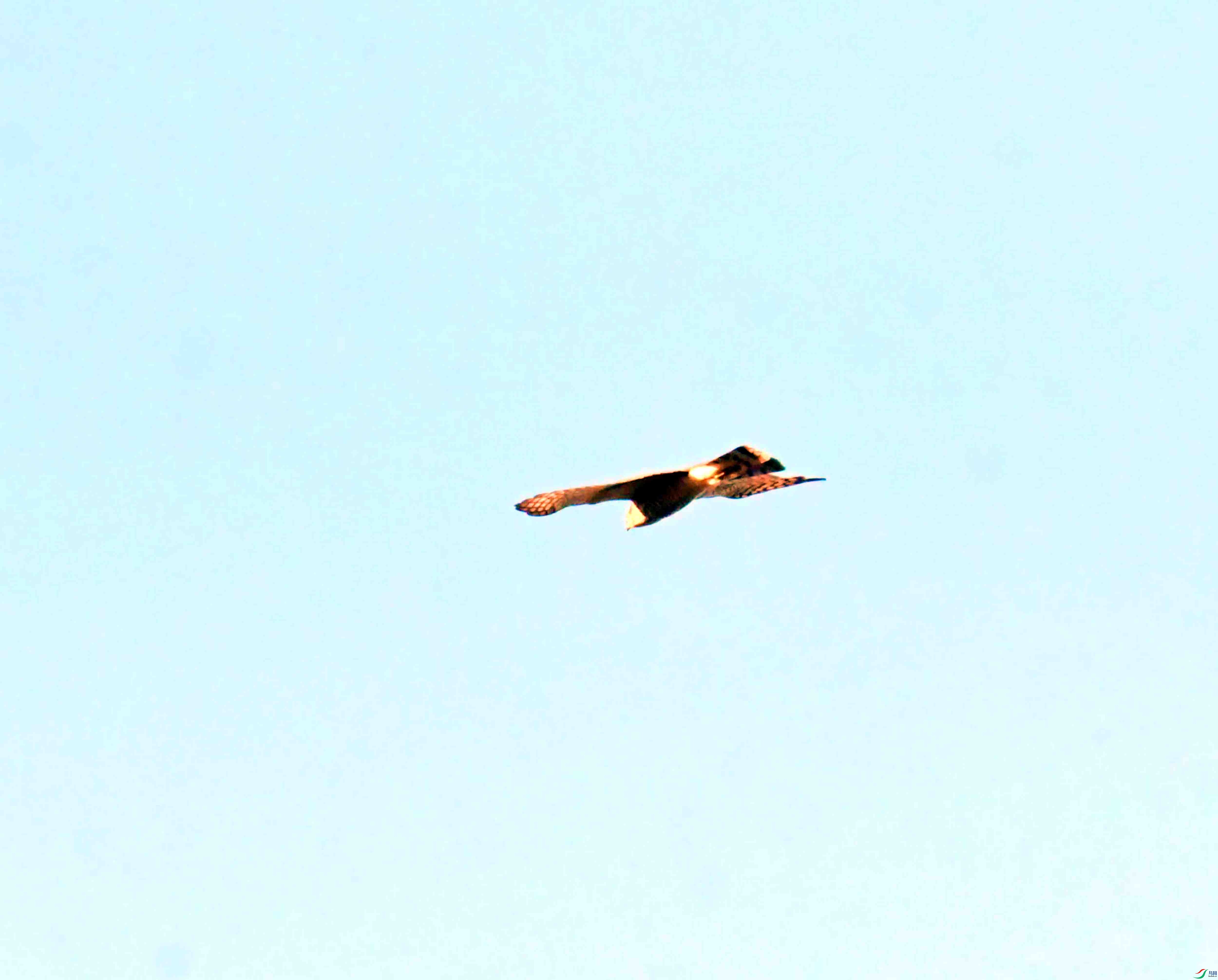 DSC_2892.JPG