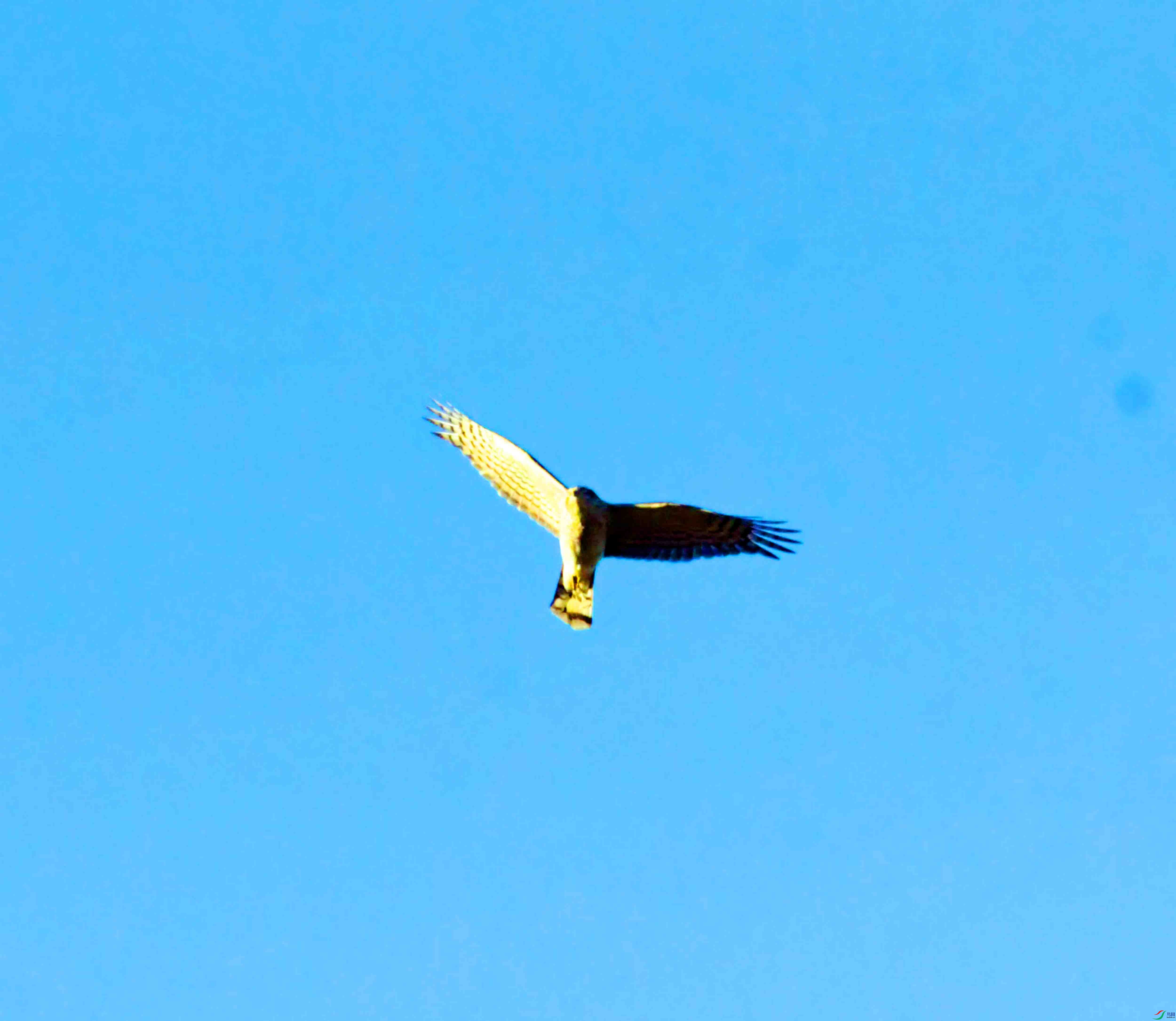DSC_2900.JPG