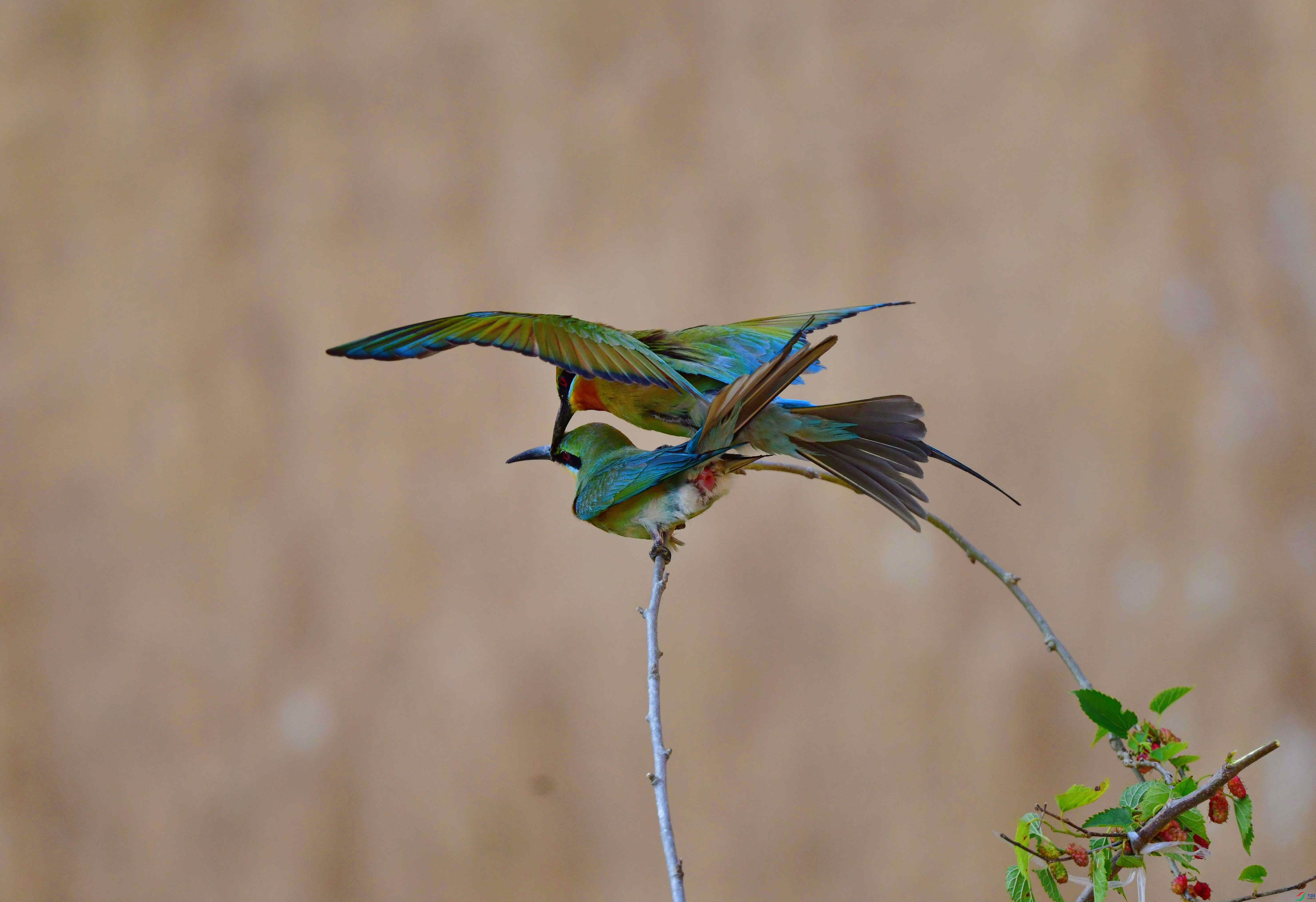DSC_7201_��ͼ��_����.jpg